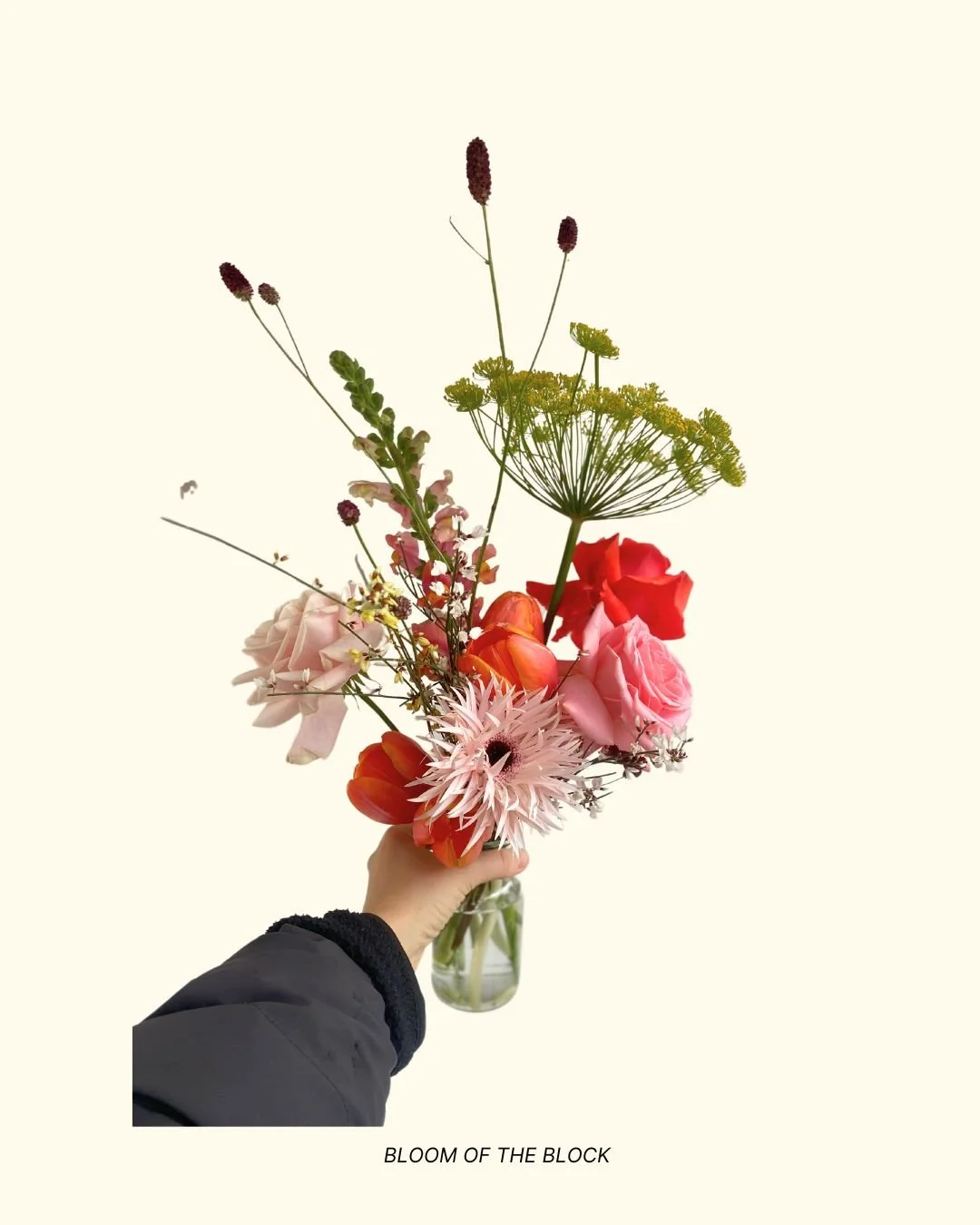 Bare Organics (7).jpg