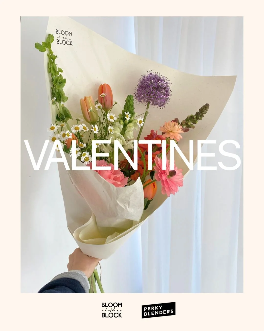 Copy of INSTA POST (28).jpg