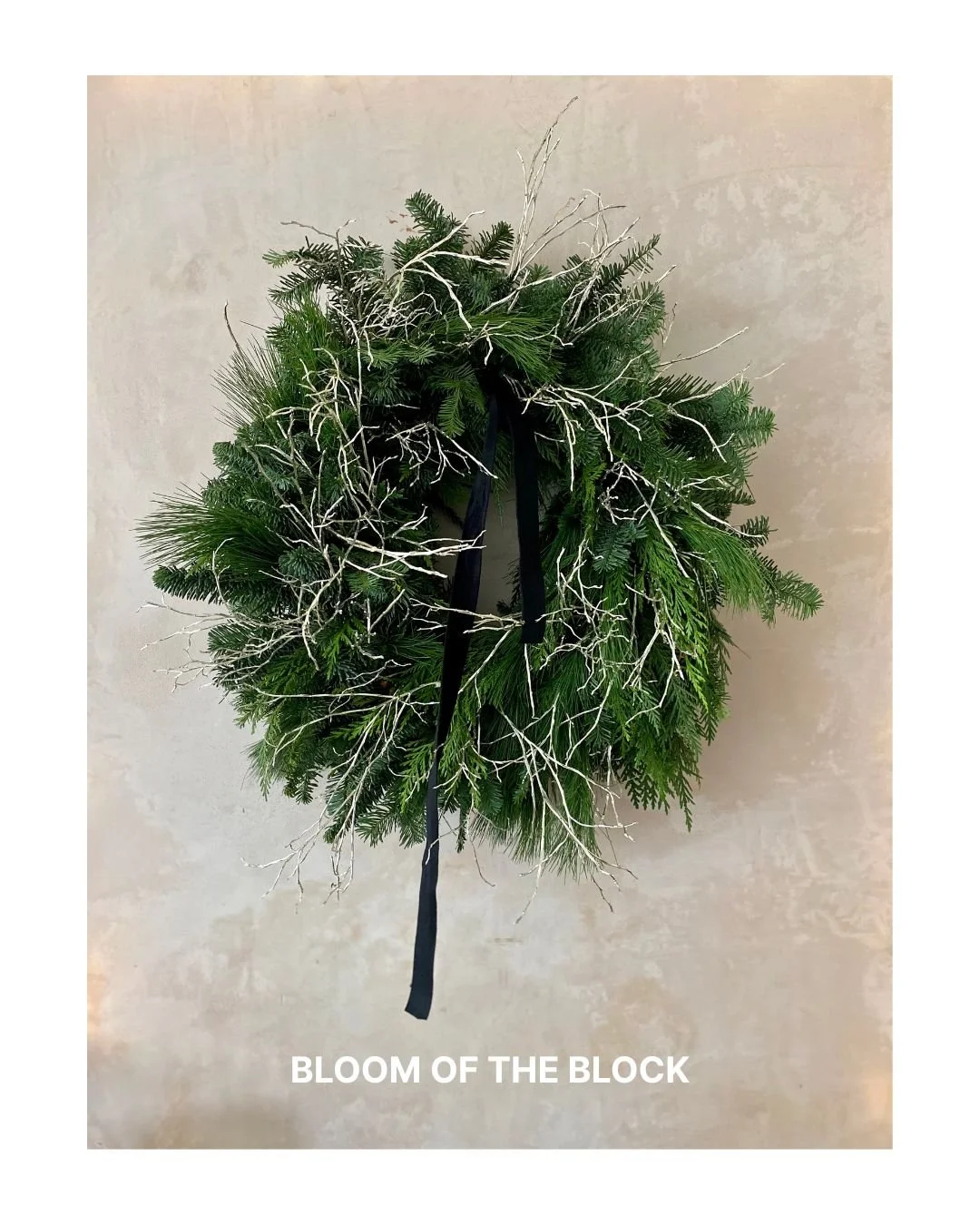 Copy of INSTA POST (6).jpg