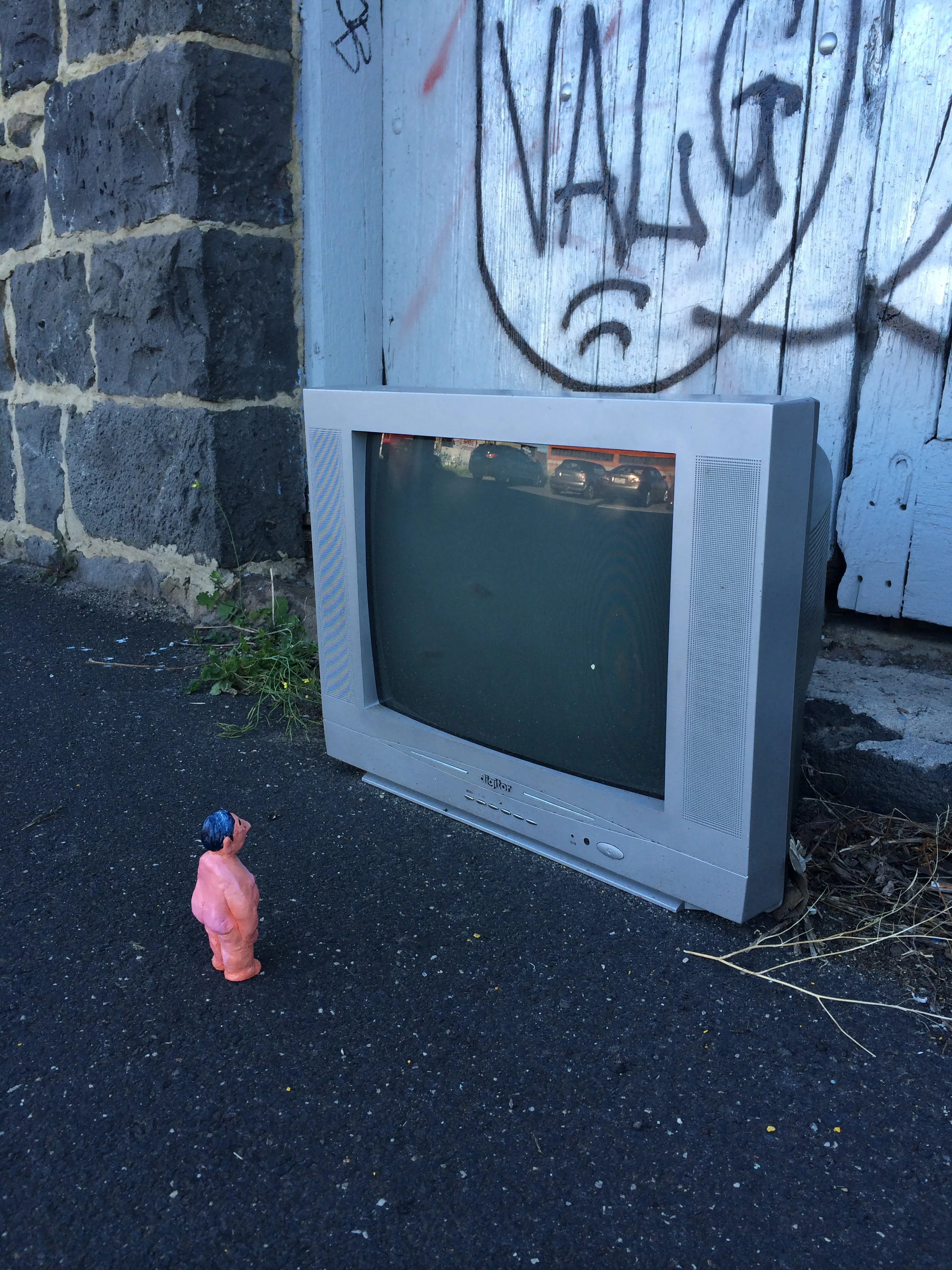 Screening in Brunswick