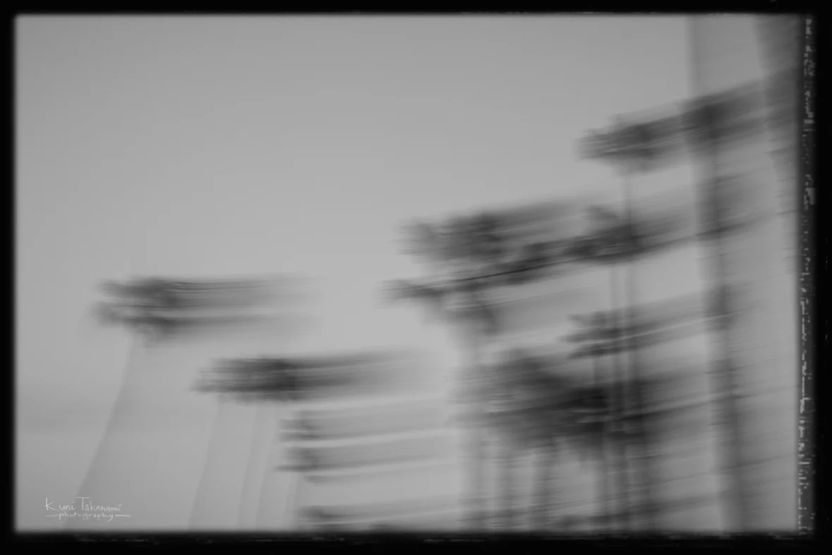_KNZ8037a.jpg