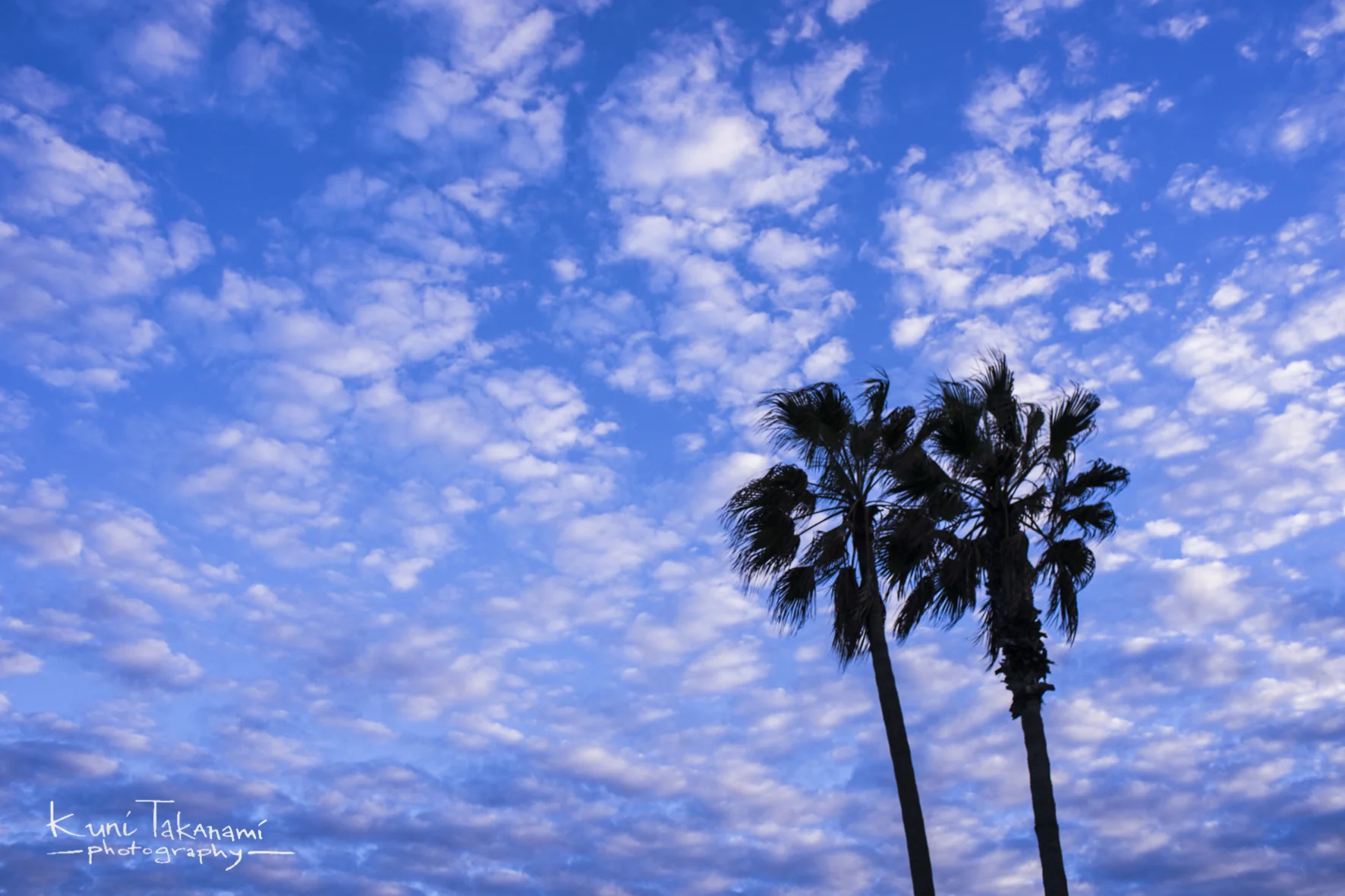 _DSC6654.jpg