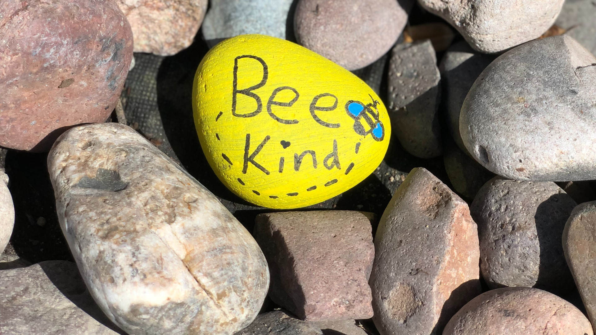 Minster Lifeline #10