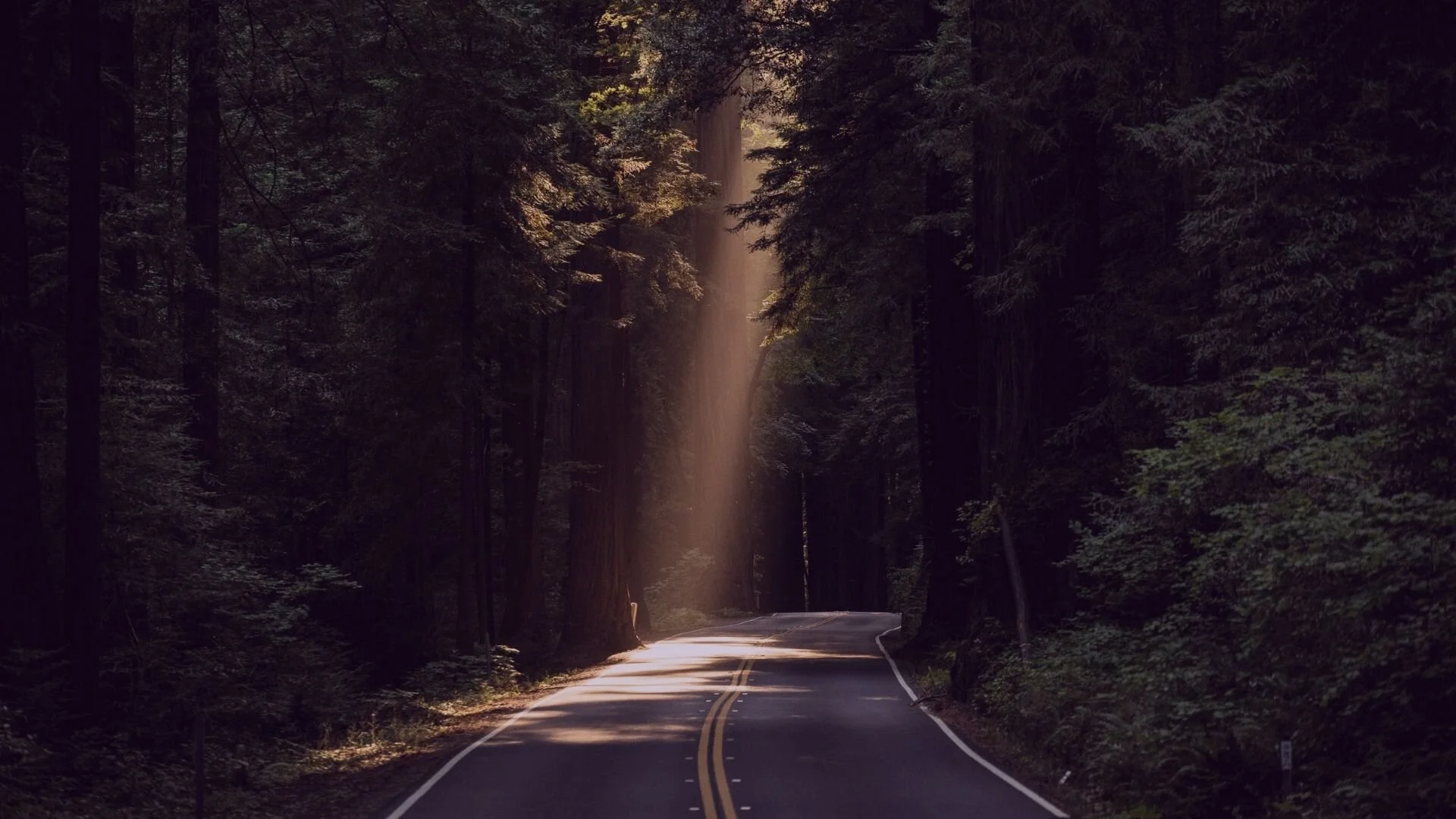 Minster Lifeline #25  