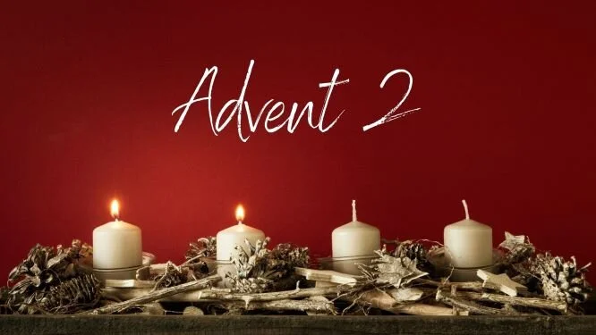 Minster Lifeline #37