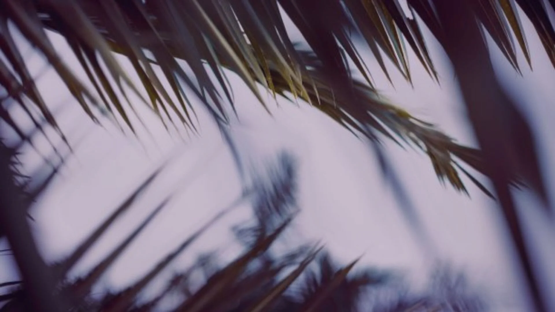 Minster Lifeline #12