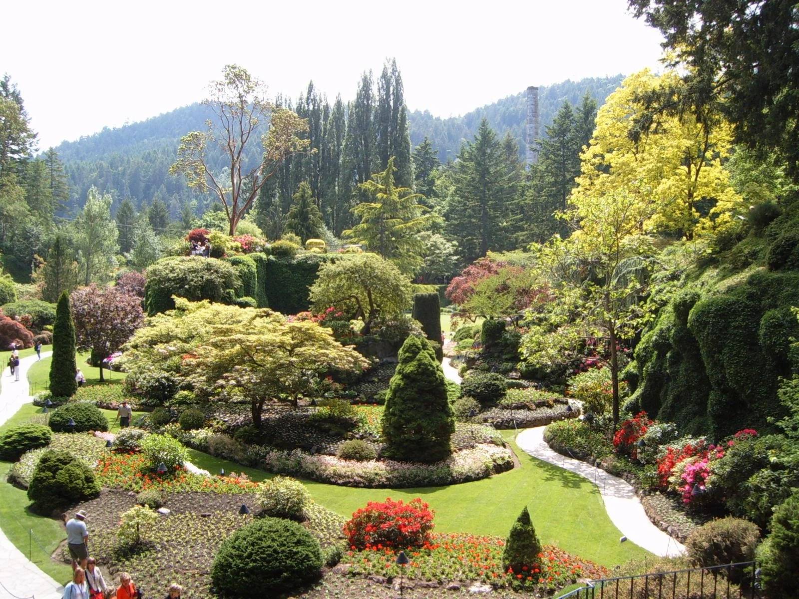 Minster Lifeline 9 2022 