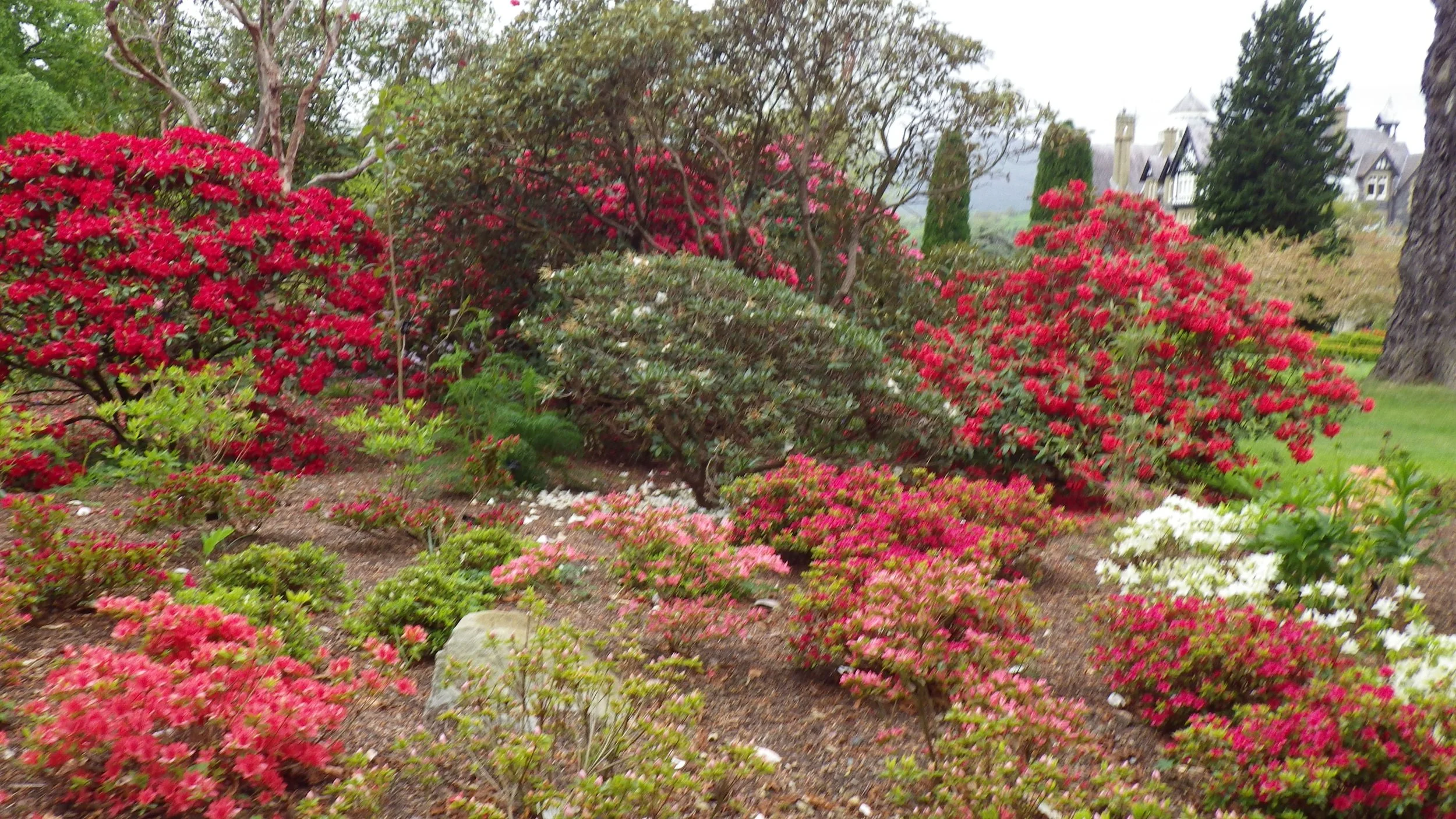 Minster Lifeline 23 2022