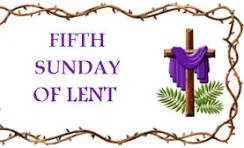 Minster Lifeline 11/2025