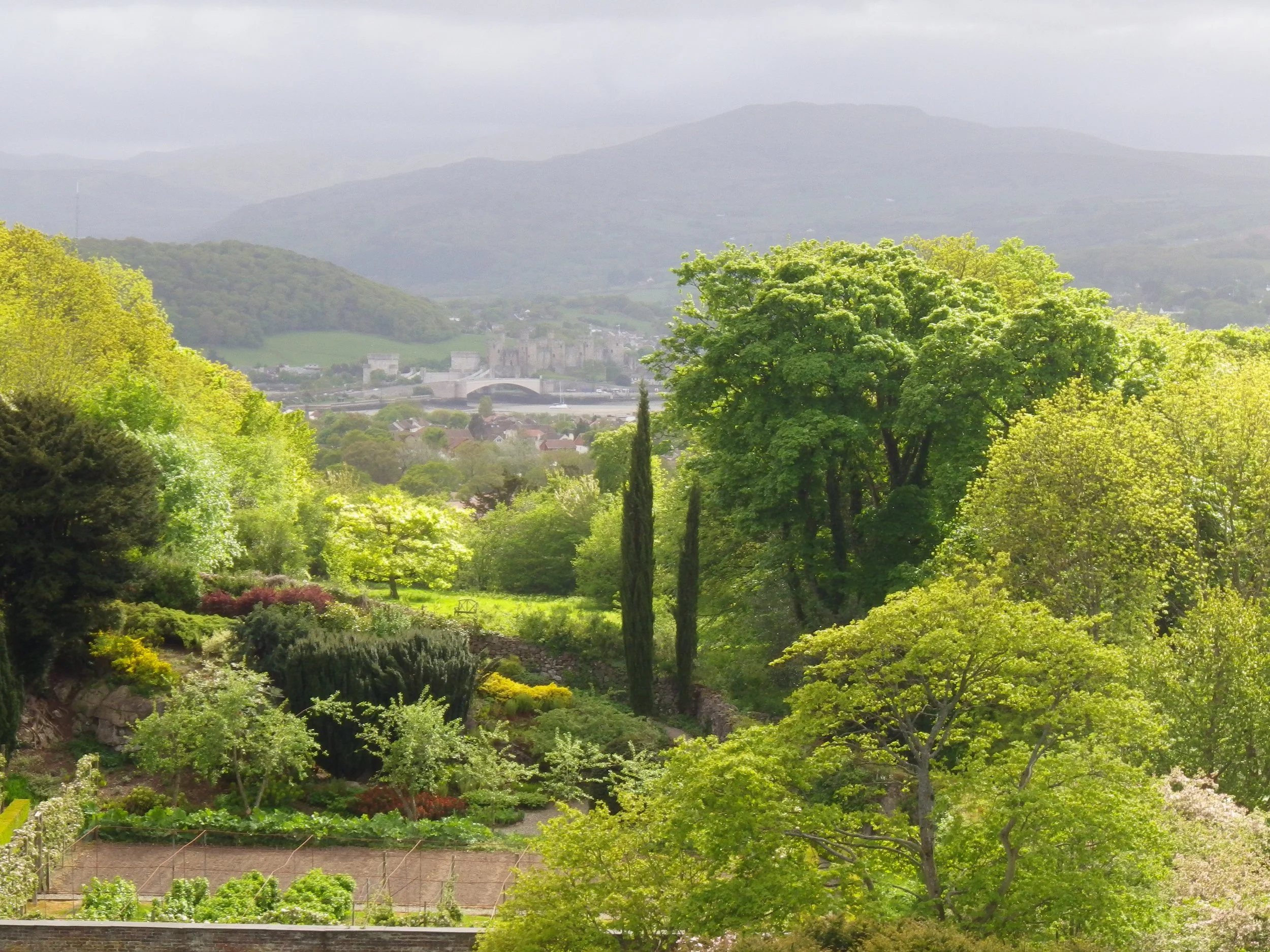 Minster Lifeline 33/2025