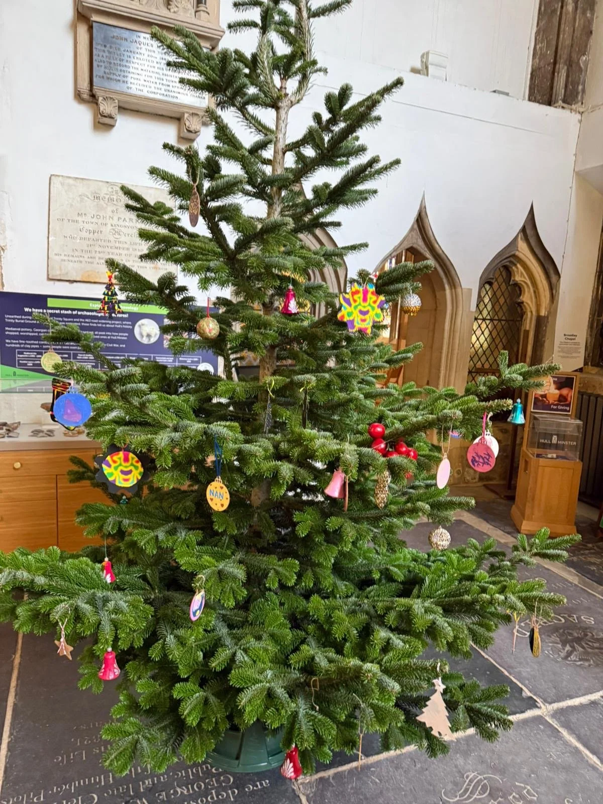 Broadley tree Sandhill 2025.JPG