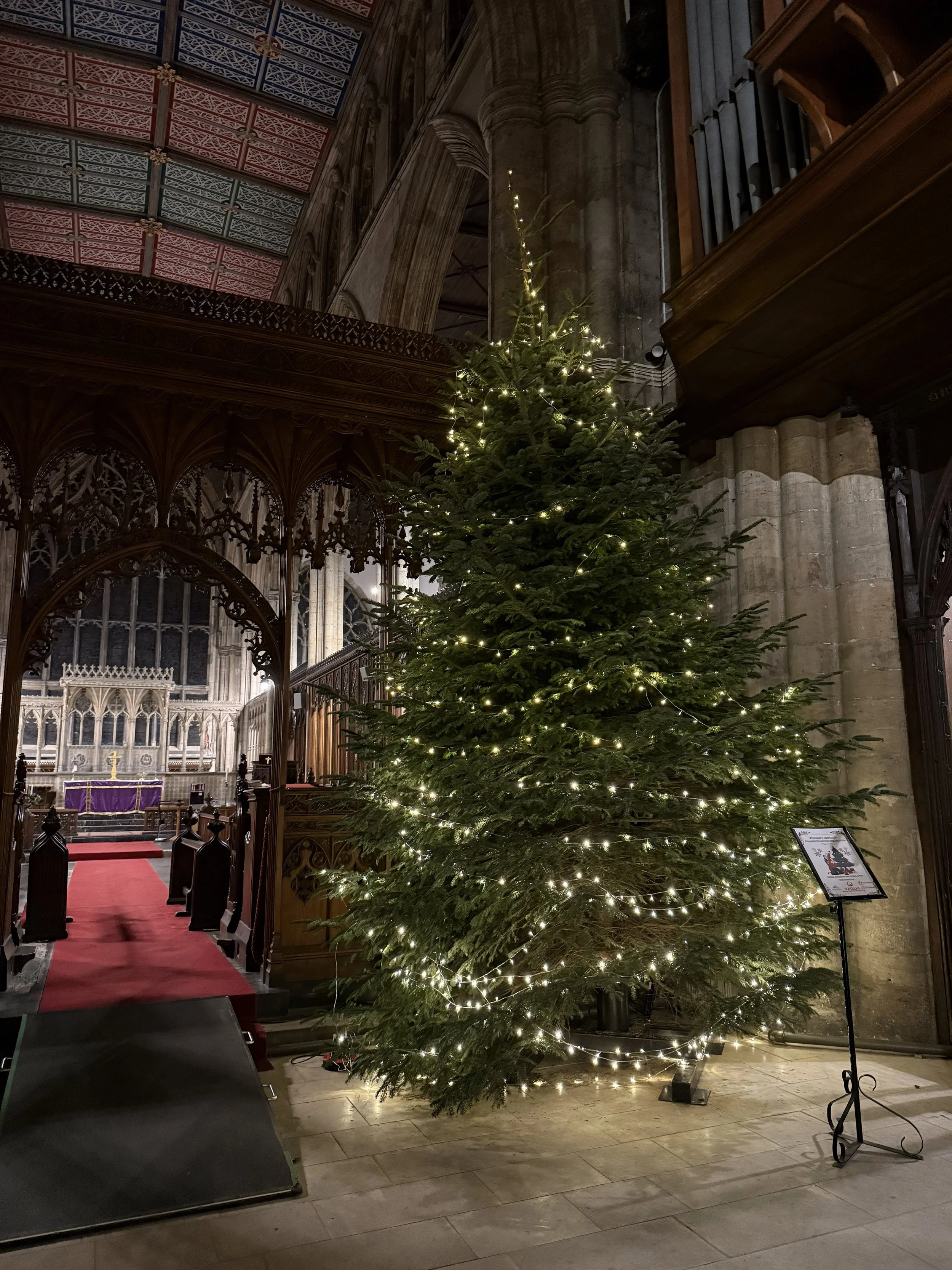 17th Tree 2025 Veolia.jpeg