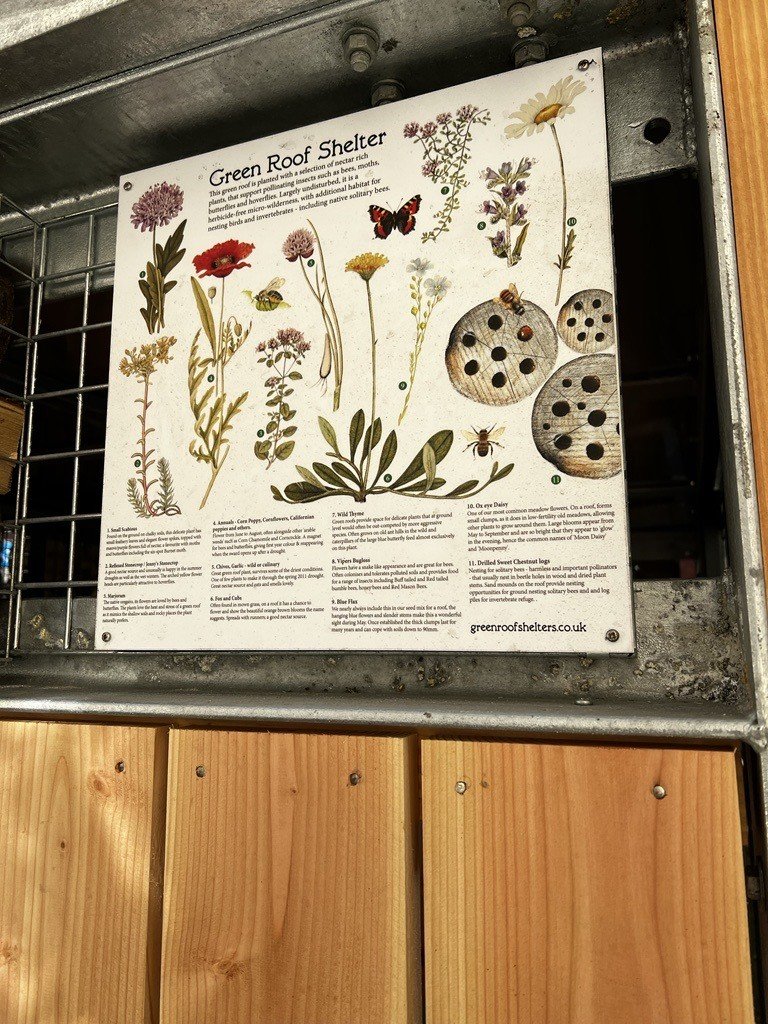 Bike Shed roof.jpeg