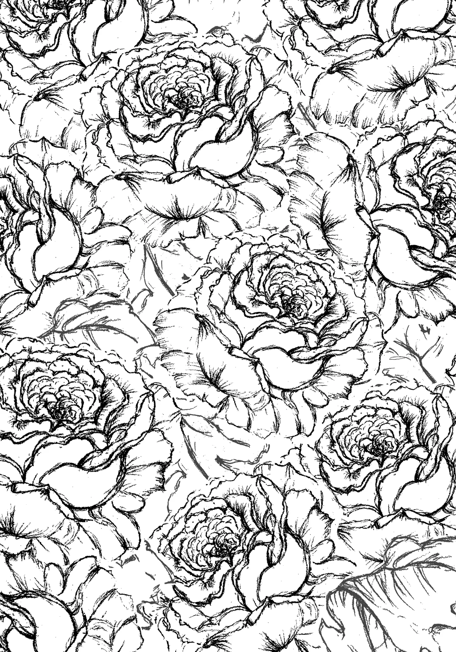 LINED_FLOWERS.JPG