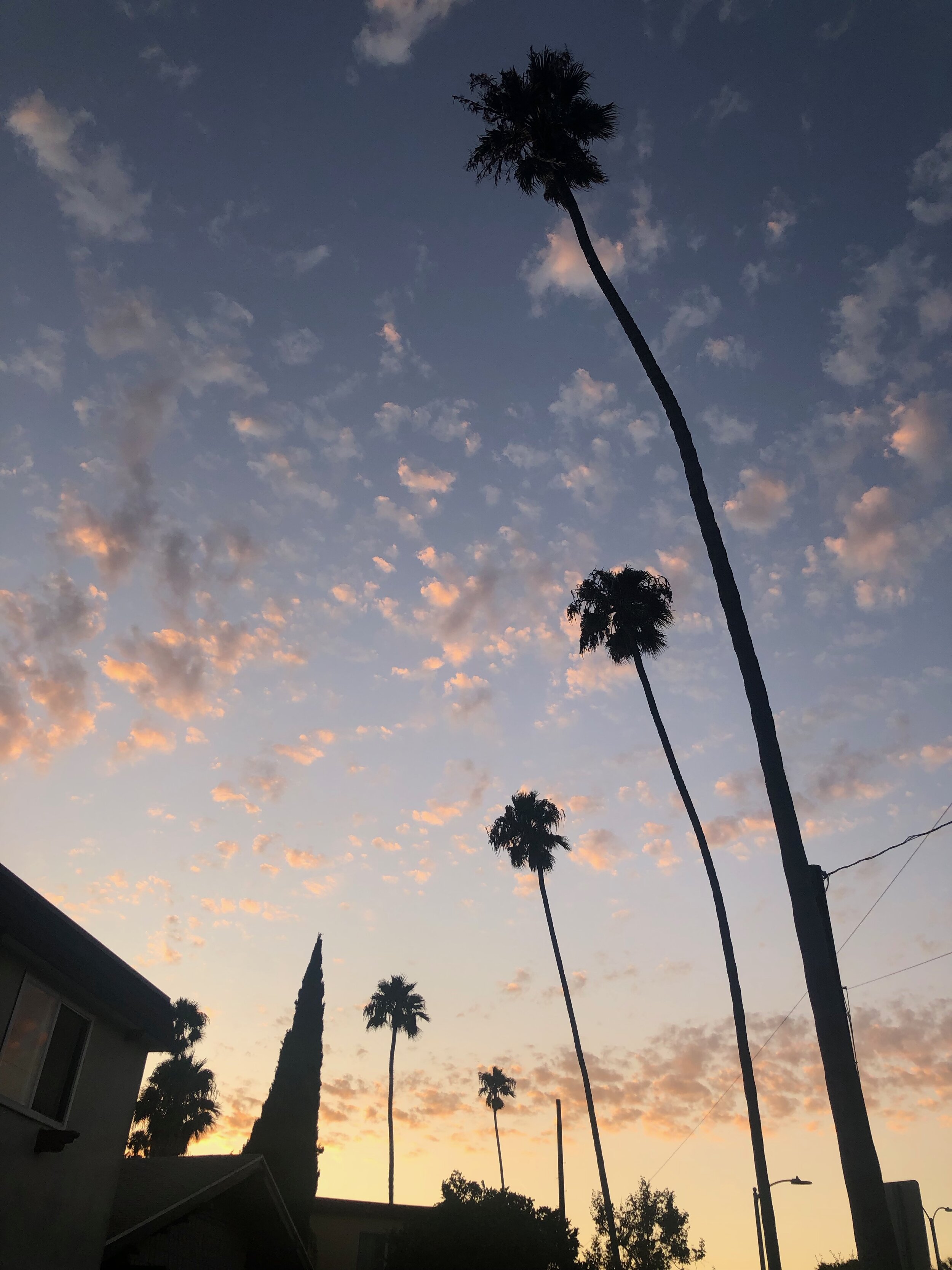 IMG_6805.jpeg