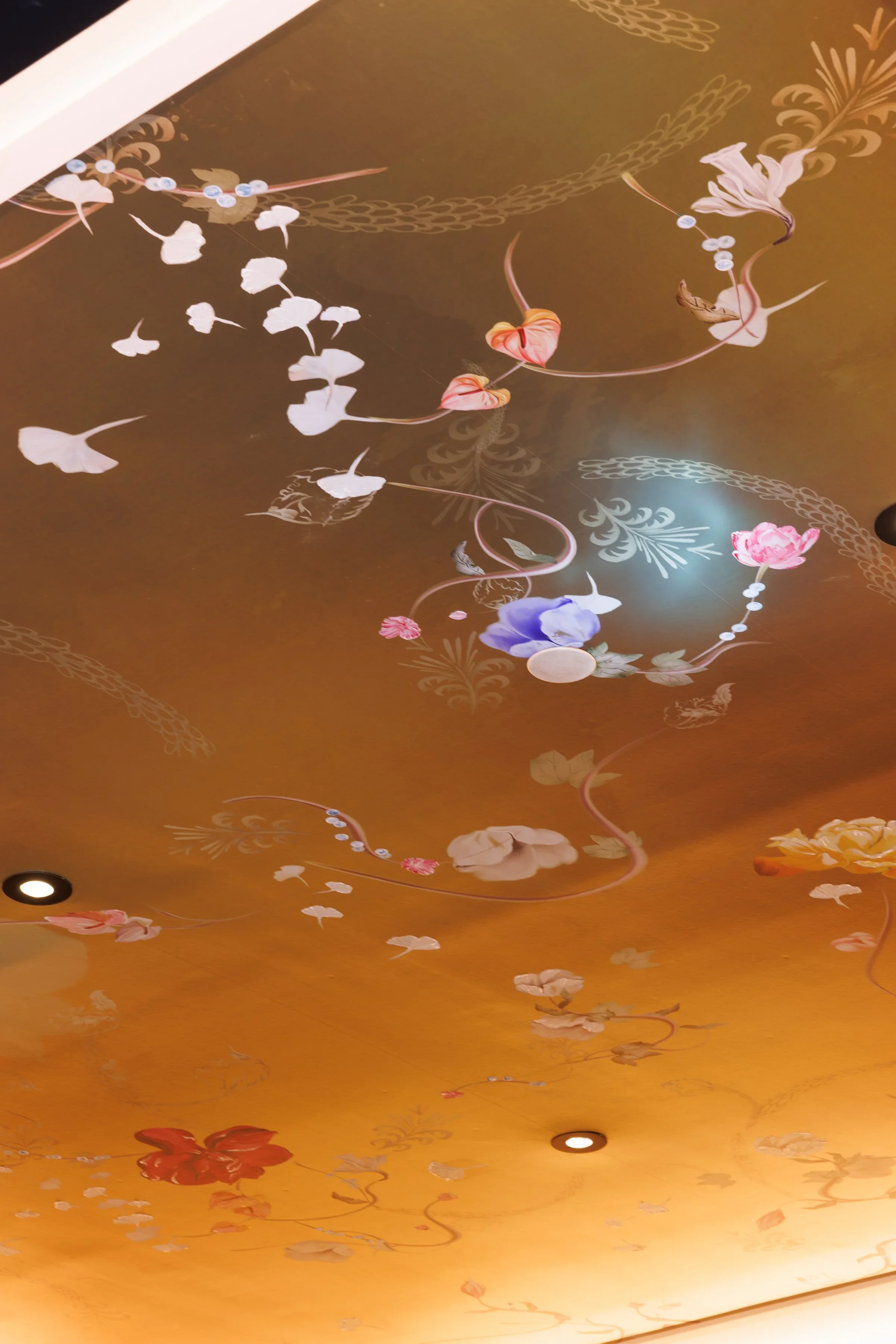1z2a9144.webp