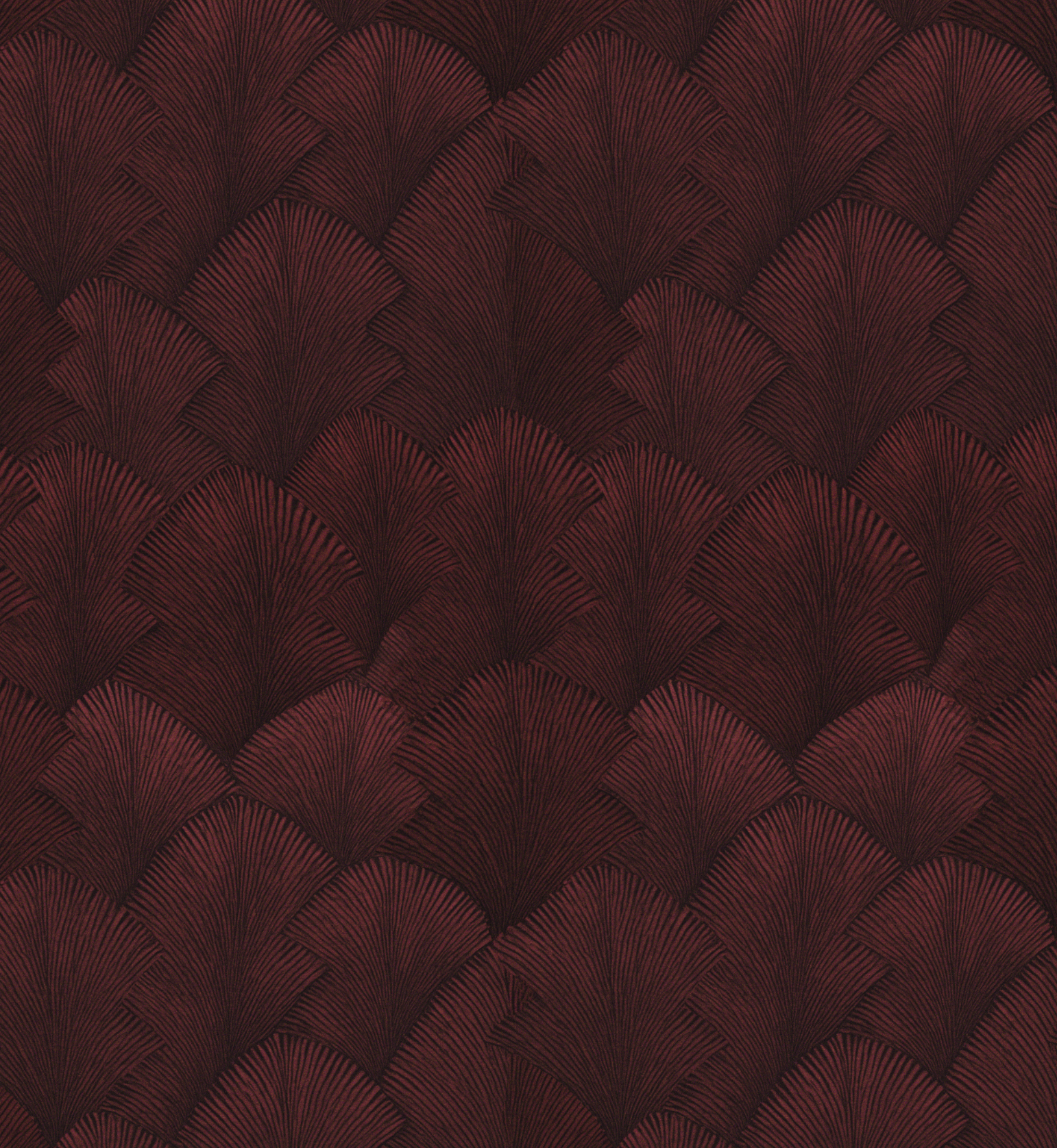 Coastal Fan_red _CKD.png