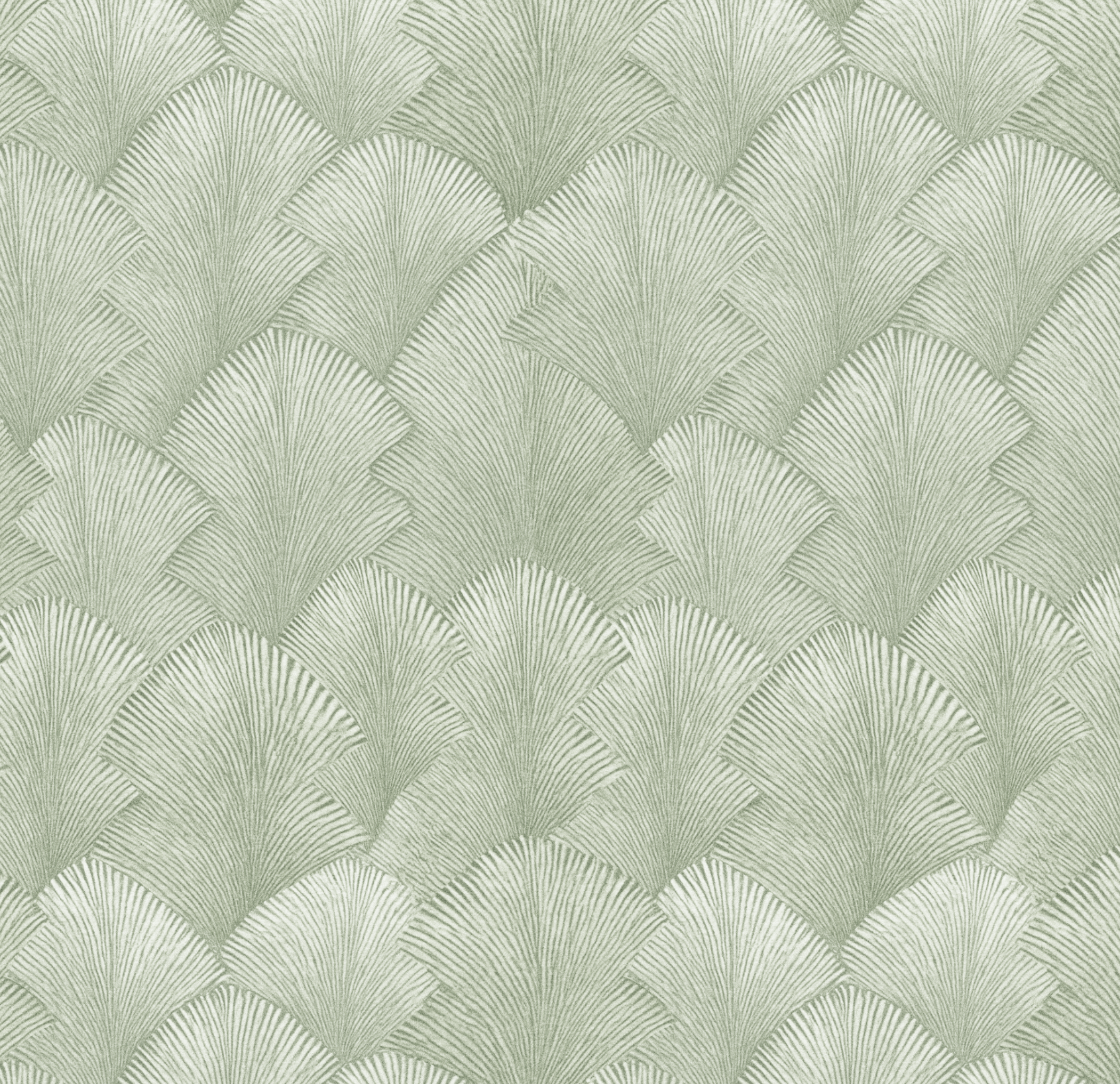 Coastal Fan_Green_CKD.png