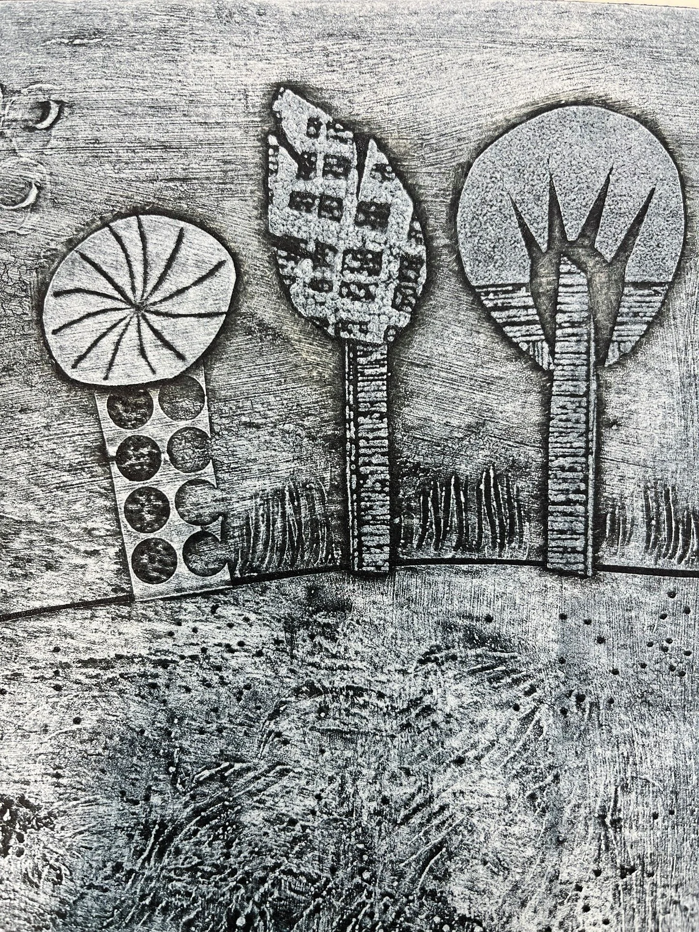 #detail #reliefprinting #collagraph #etching #trees #texture #printmaking