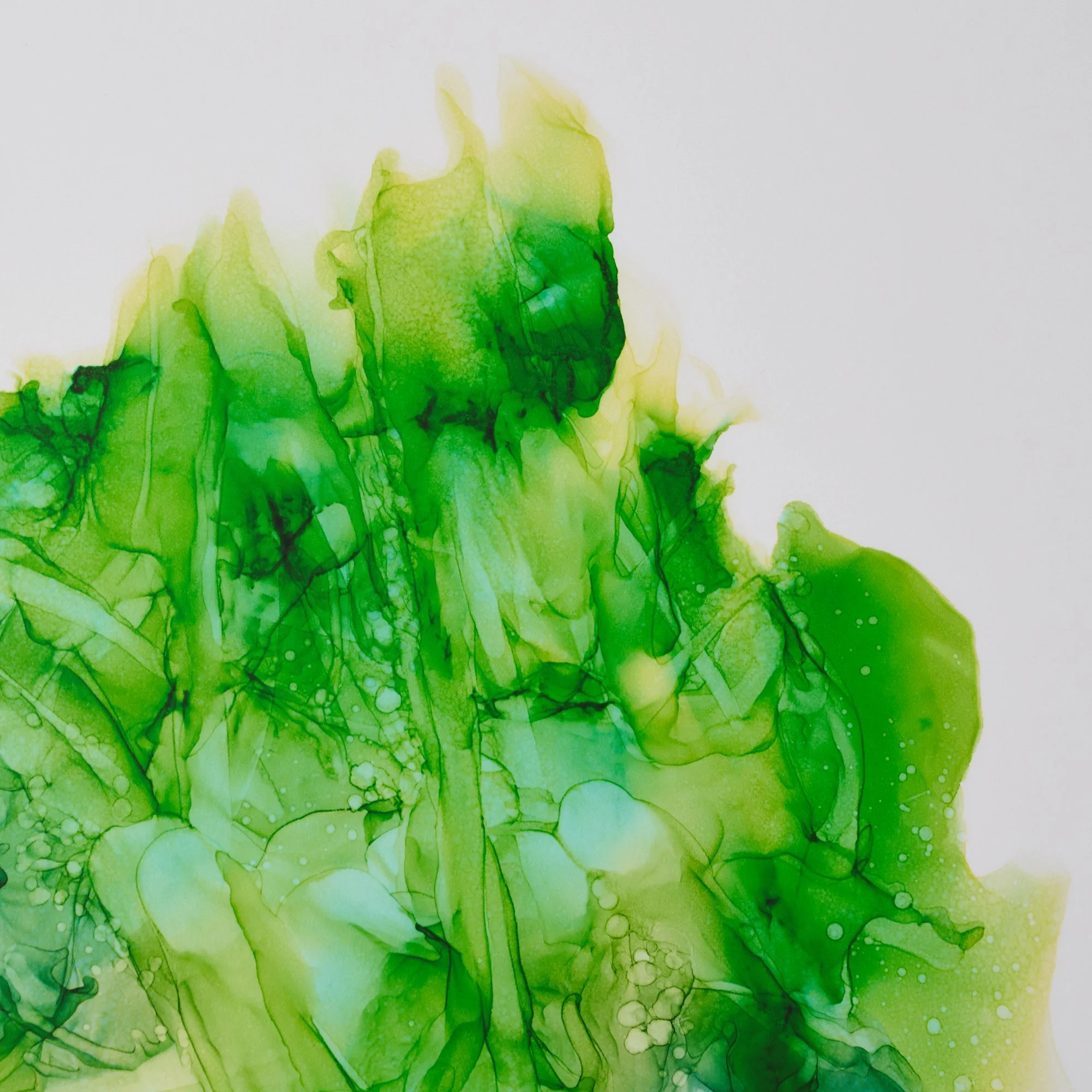 SO_KLARA_YAKUSHIMA_Giclee_Print_Detail_01.jpg