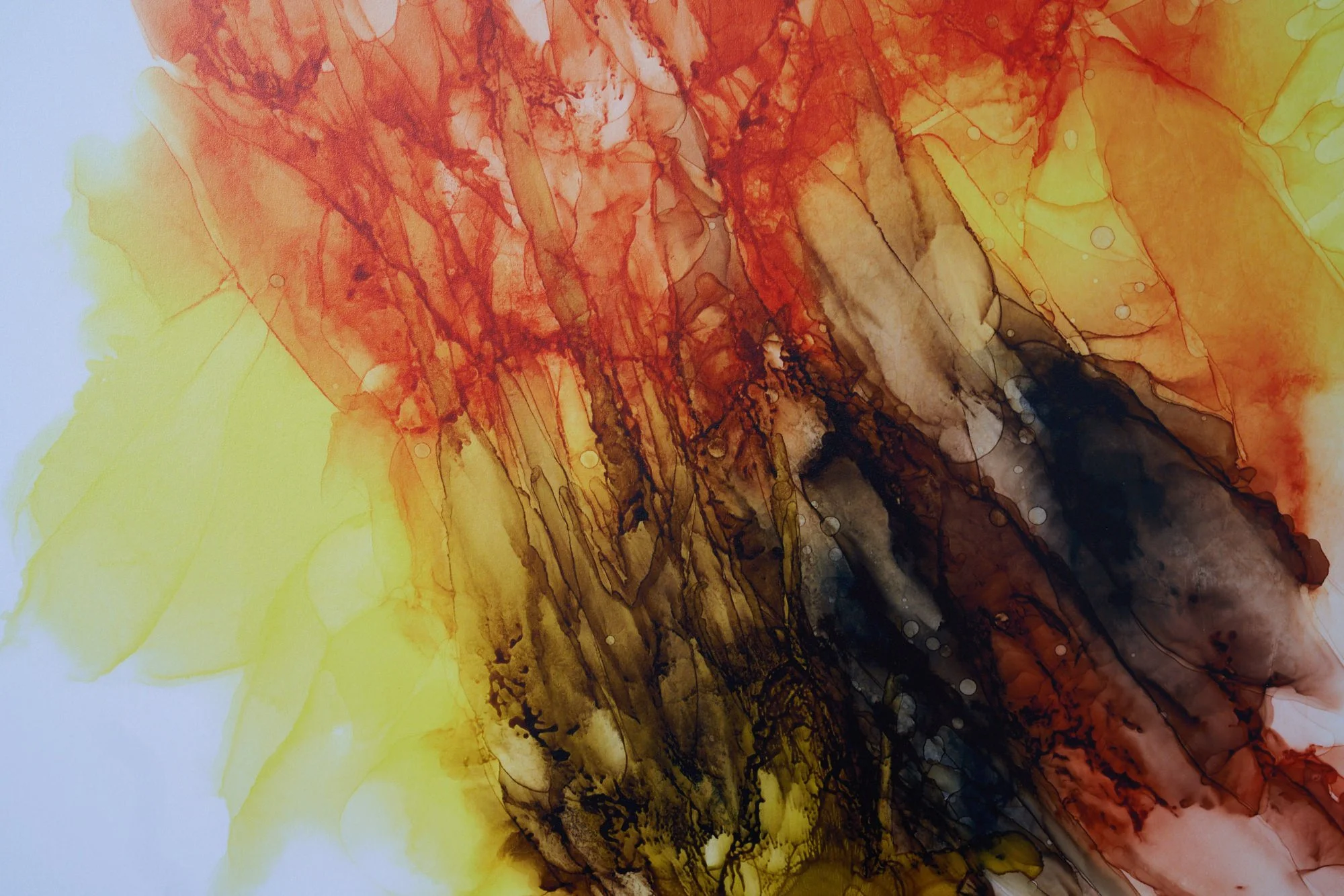 SO_KLARA_SPAWNING_Giclee_Print_Detail.jpg