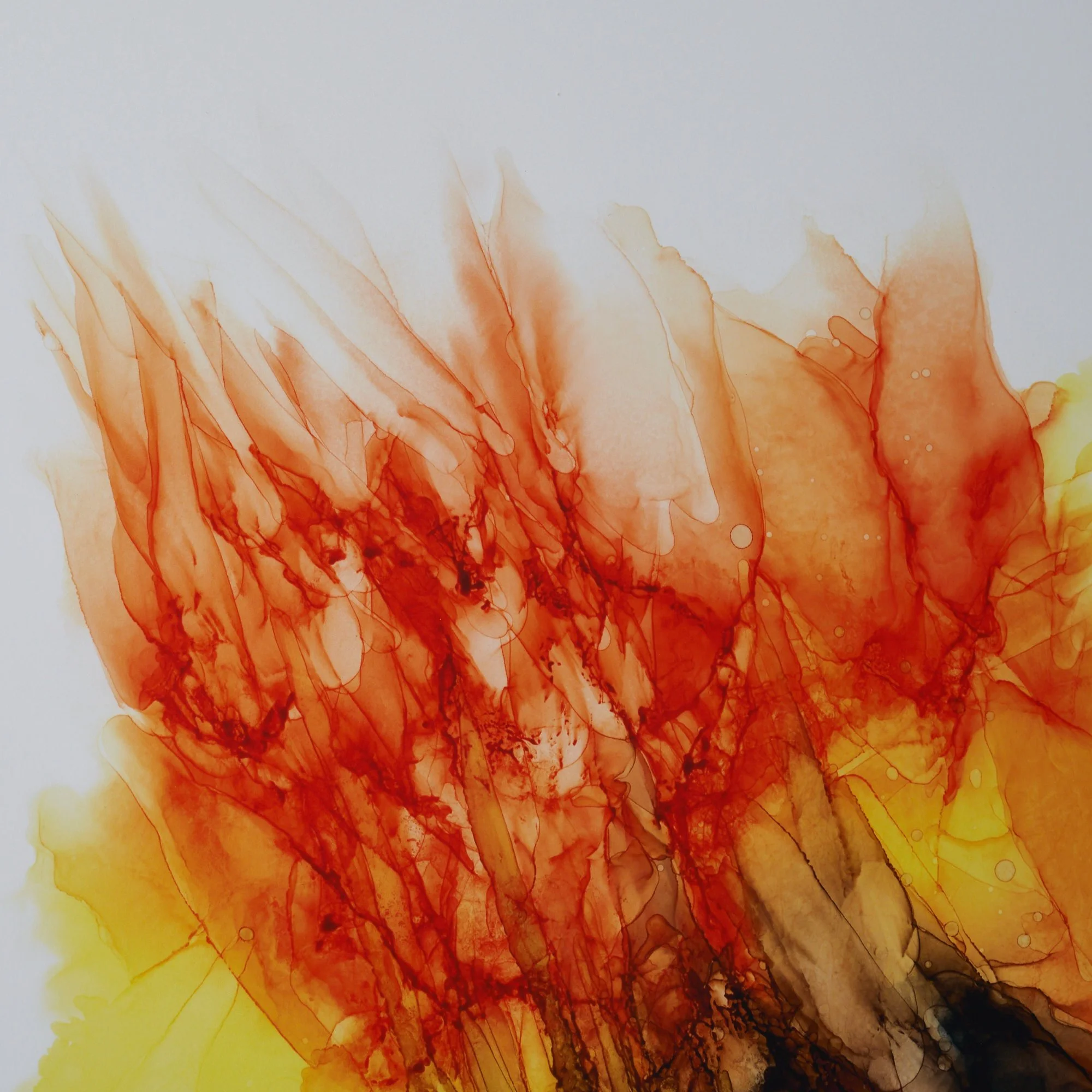 SO_KLARA_SPAWNING_Giclee_Print_Detail_01.jpg
