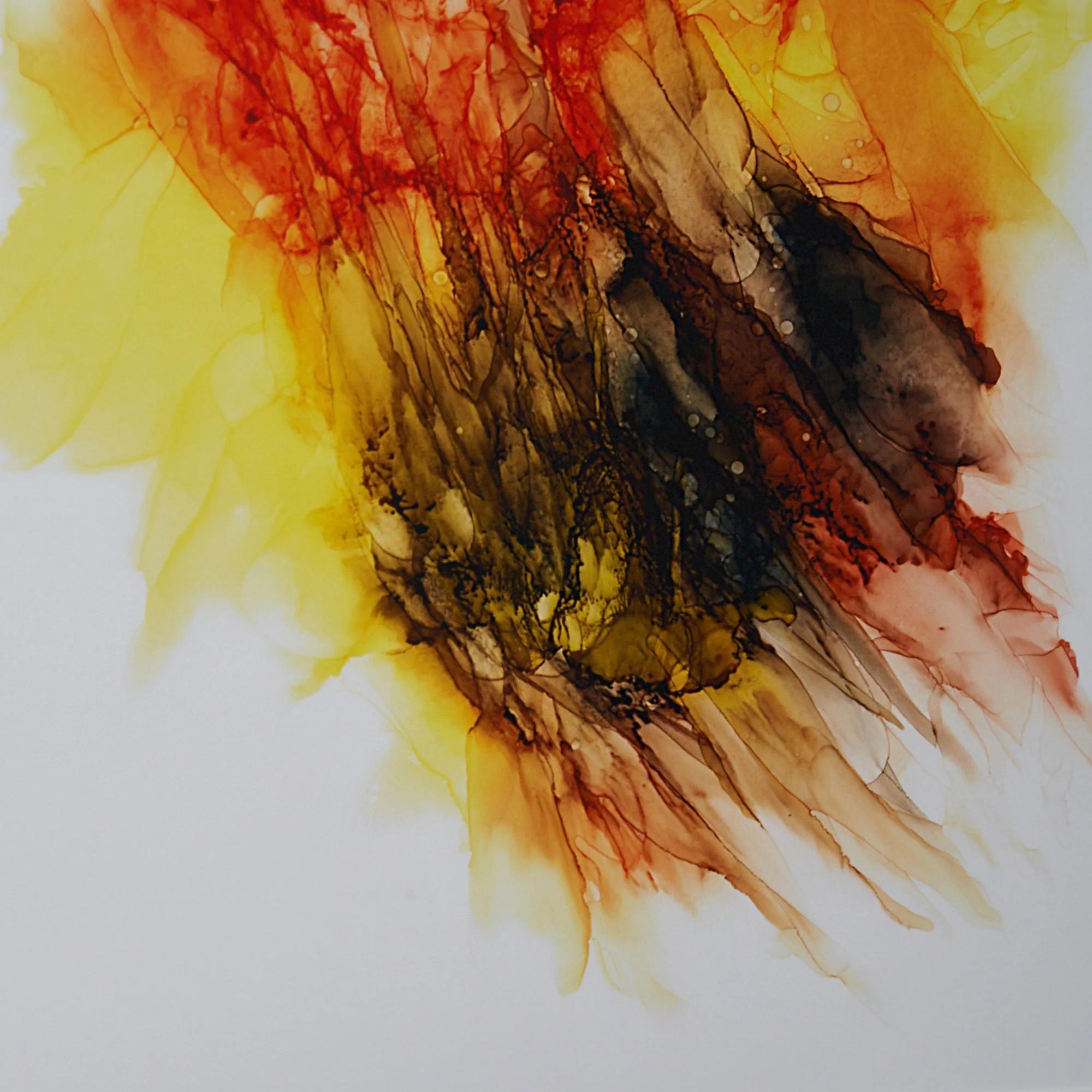SO_KLARA_SPAWNING_Giclee_Print_Detail_03 (1).jpg