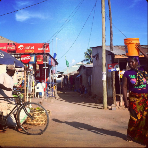CPAN in Tanzania for the Local Governance Performance Index Project