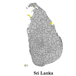 Sri Lanka.PNG