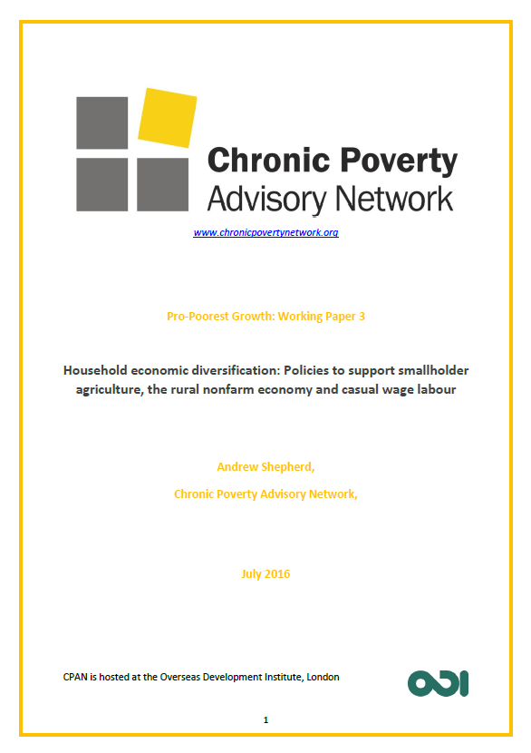 Household economic diversification: Policies to support smallholder agriculture, the rural nonfarm economy and casual wage labour