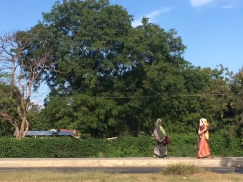 Resilience and Sustained Poverty Escapes Through Livelihood Diversification