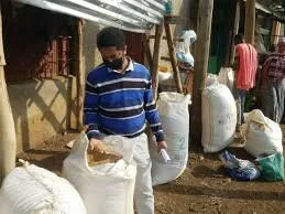 Rapid Assessment of the Impact of Covid-19 on Food Systems and Rural Livelihoods in Sub-Saharan Africa