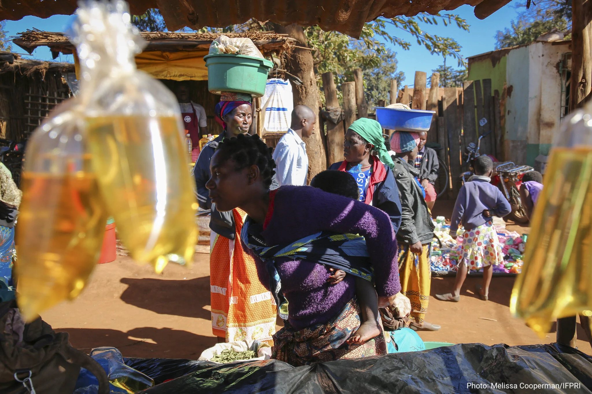 Malawi Covid-19 Poverty Monitor: April 2021