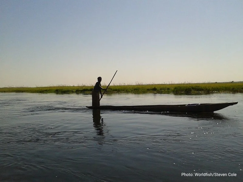 Zambia COVID-19 Poverty Monitor: March 2022