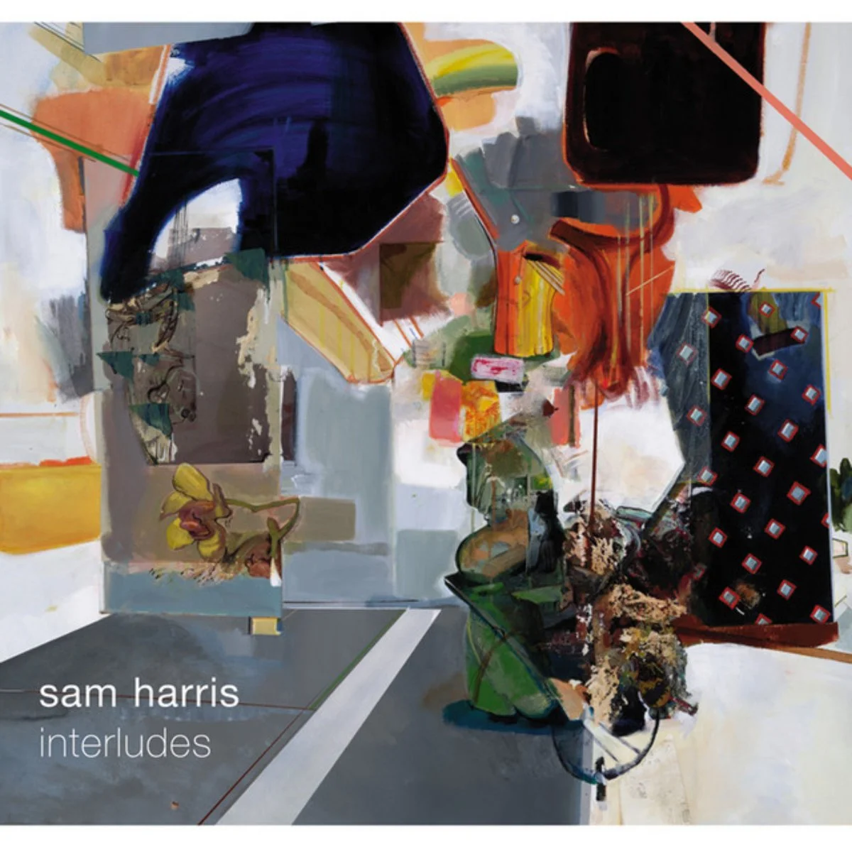 Interludes (Sam Harris)
