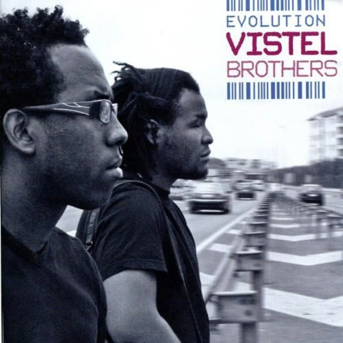 Evolution (Vistel Brothers)