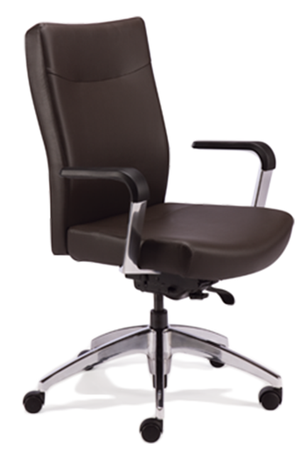 With clean lines, Arista chairs lend refinement and sophistication to any work environment. Their exceptional ergonomic qualities provide the ultimate in comfort.