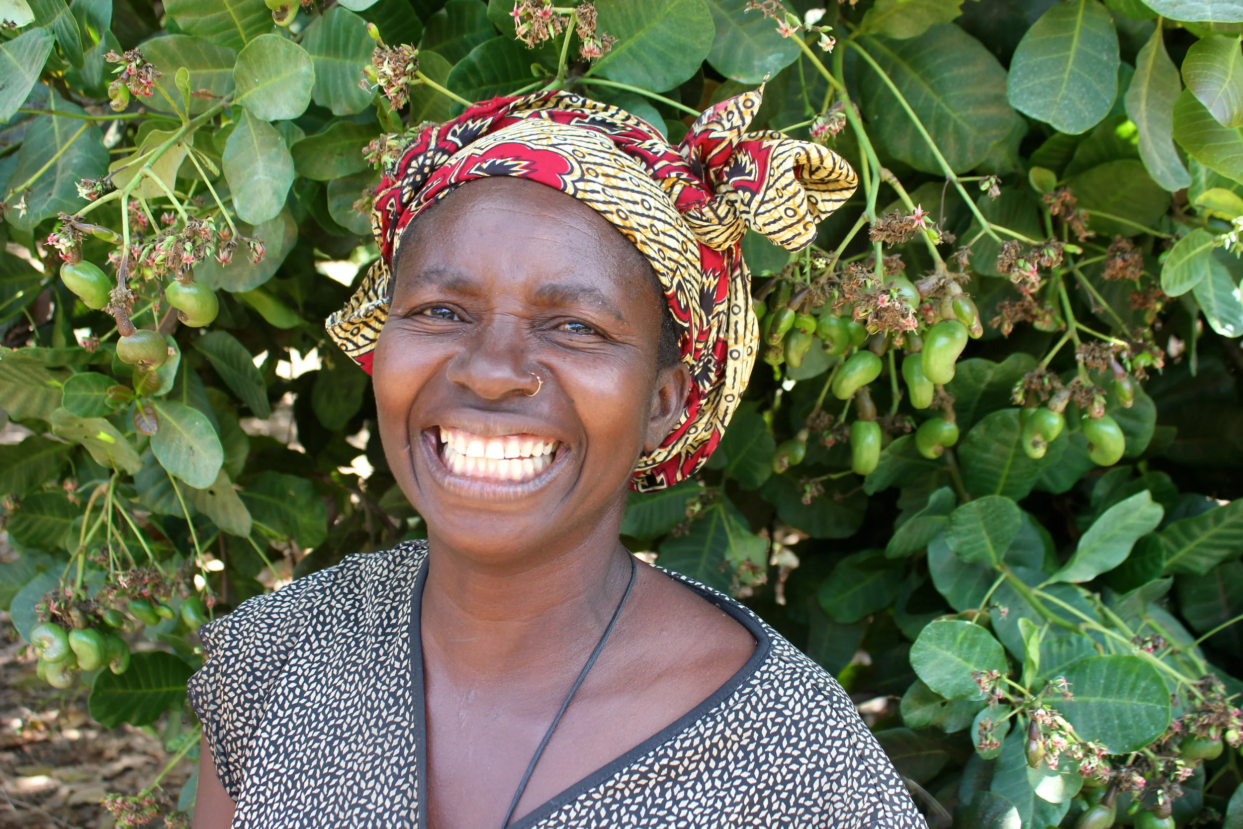 Alda Filomena André, MozaCajú farmer in Nangade, Cabo Delgado, Mozambique
