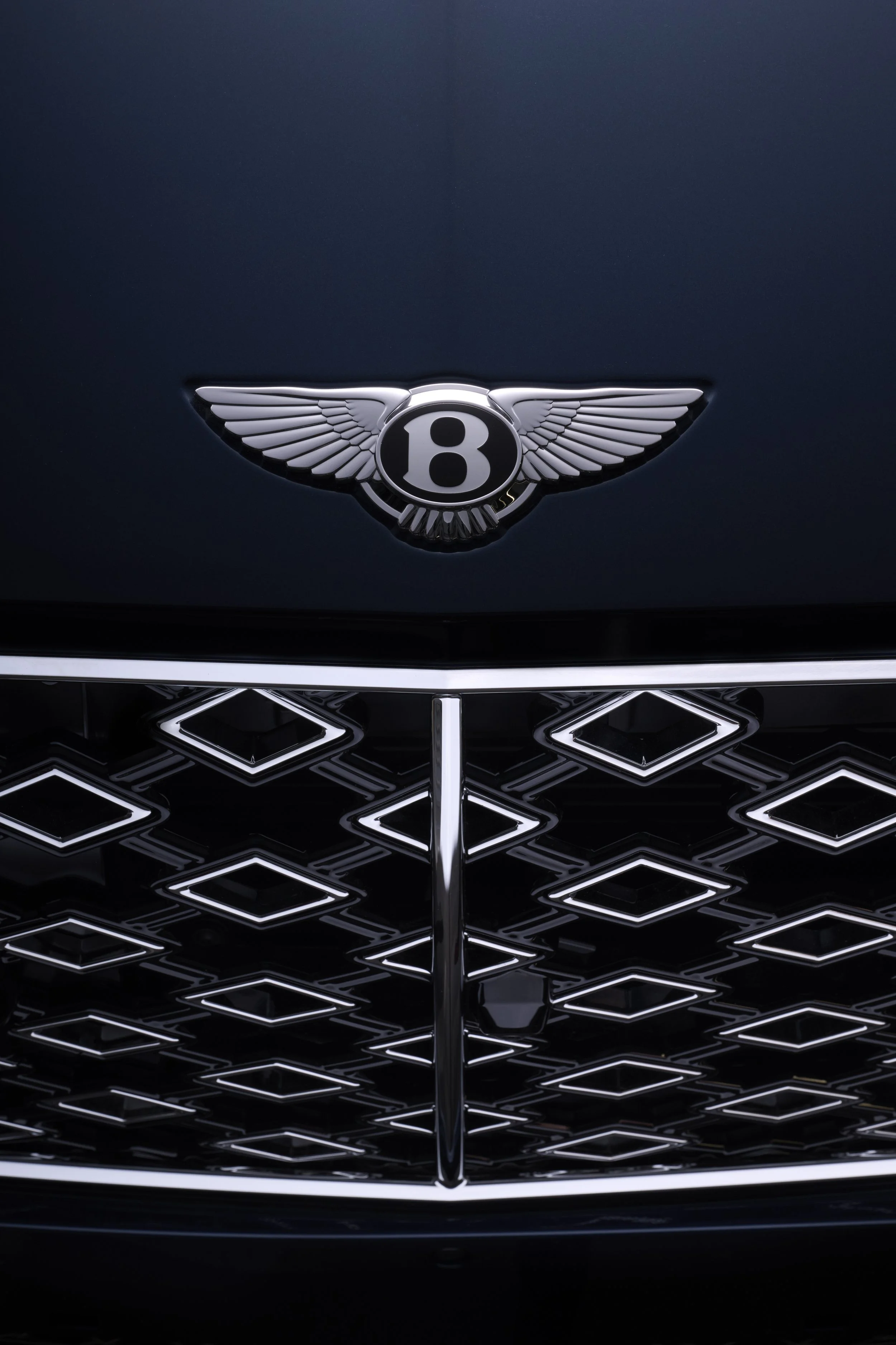 012Bentley Ath0660.jpg