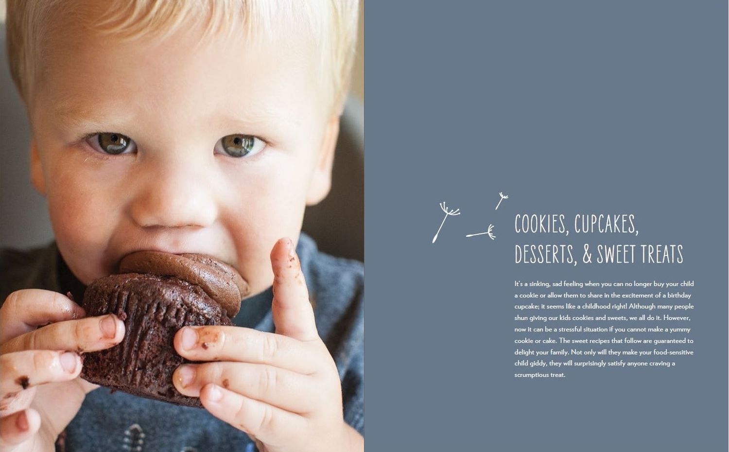 Jwebistecookies1.jpg