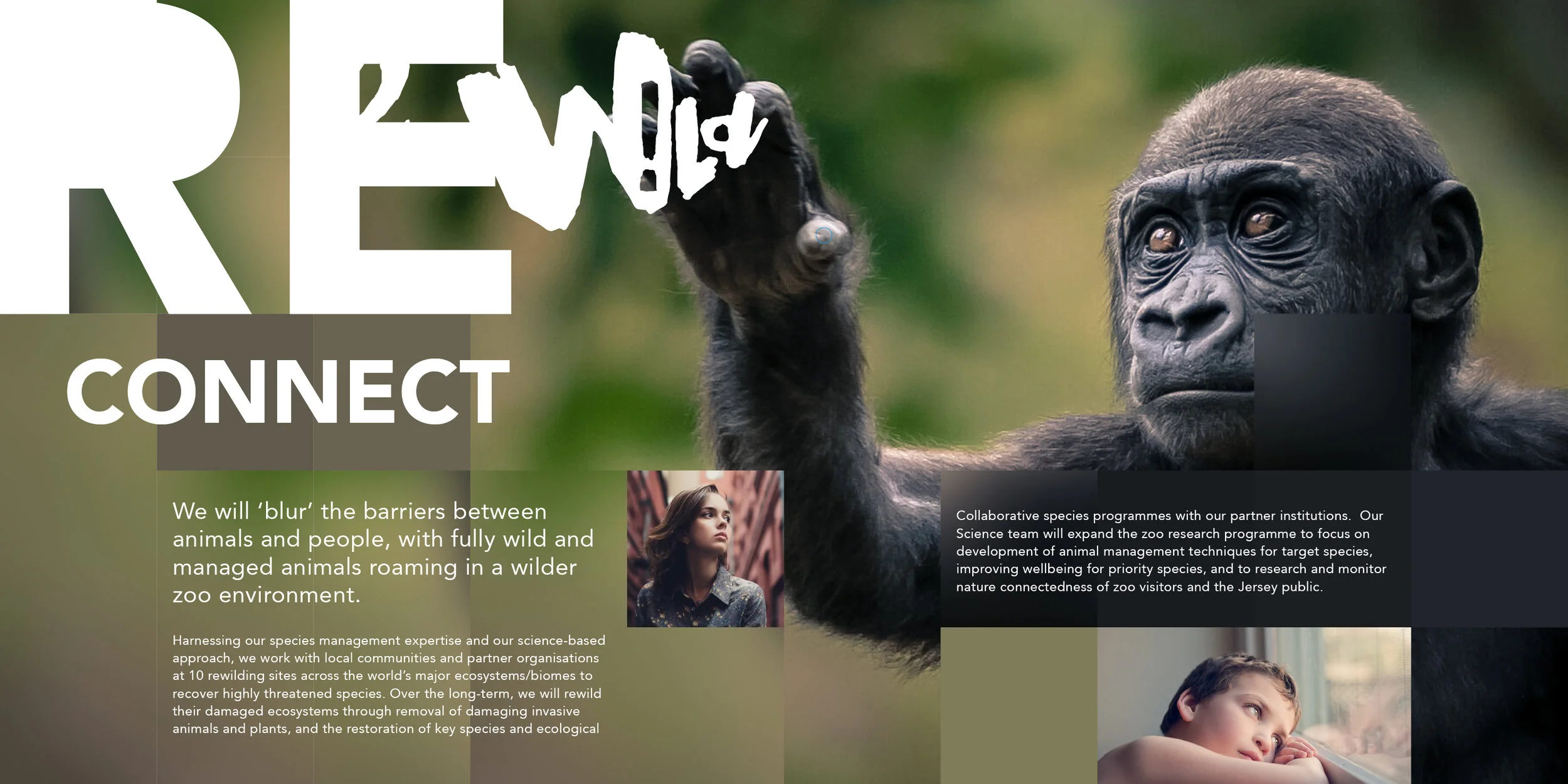 REWILD_BOOK_selects5.jpg