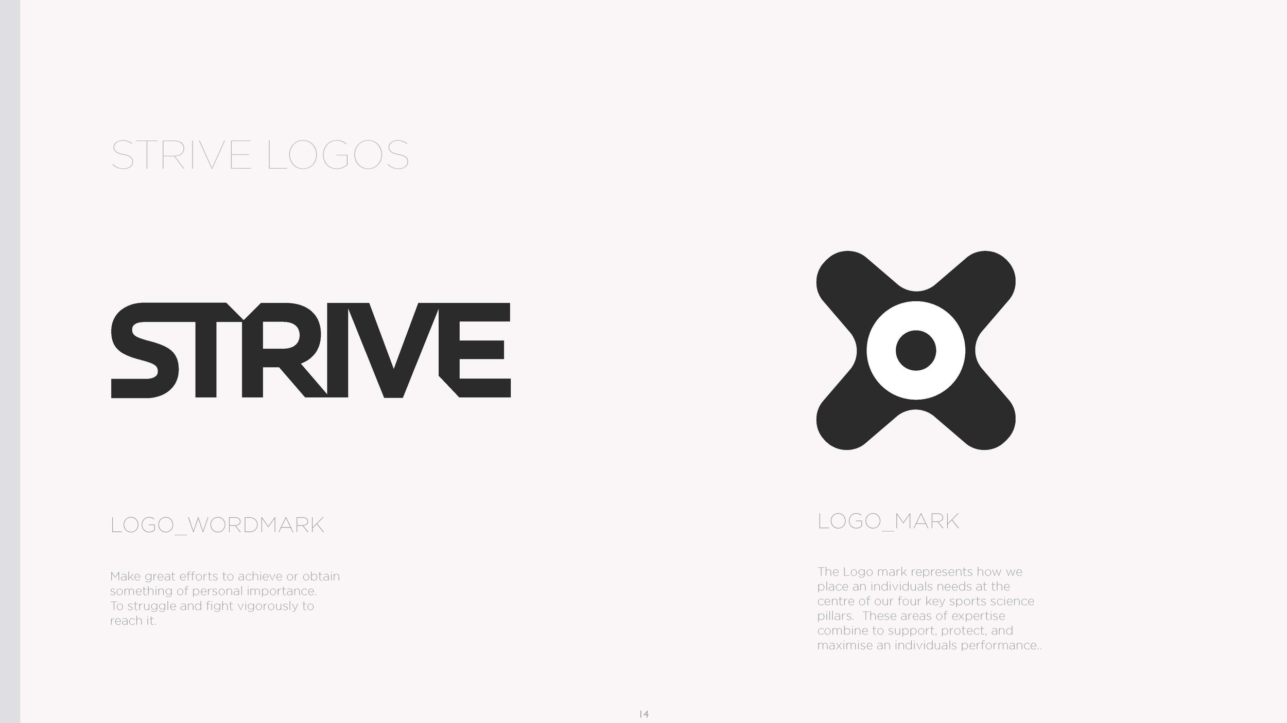 STRIVE_BRAND GUIDELINES_Page_13.jpg