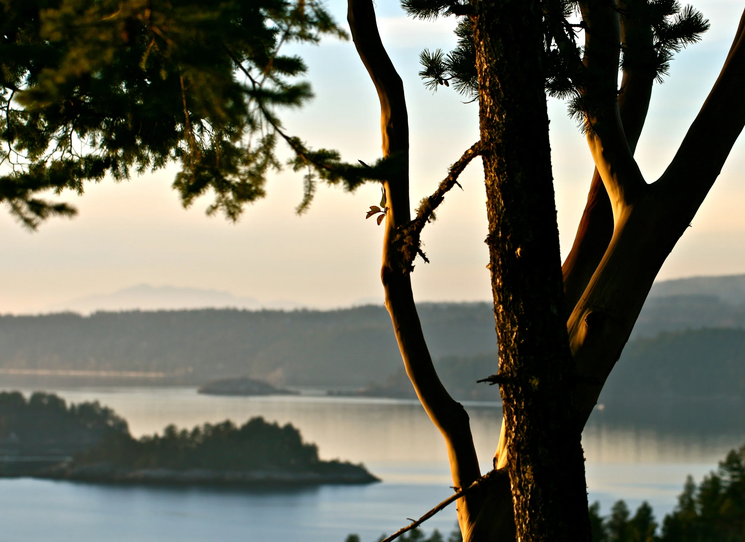 IMG_6061 - Version 3.jpg