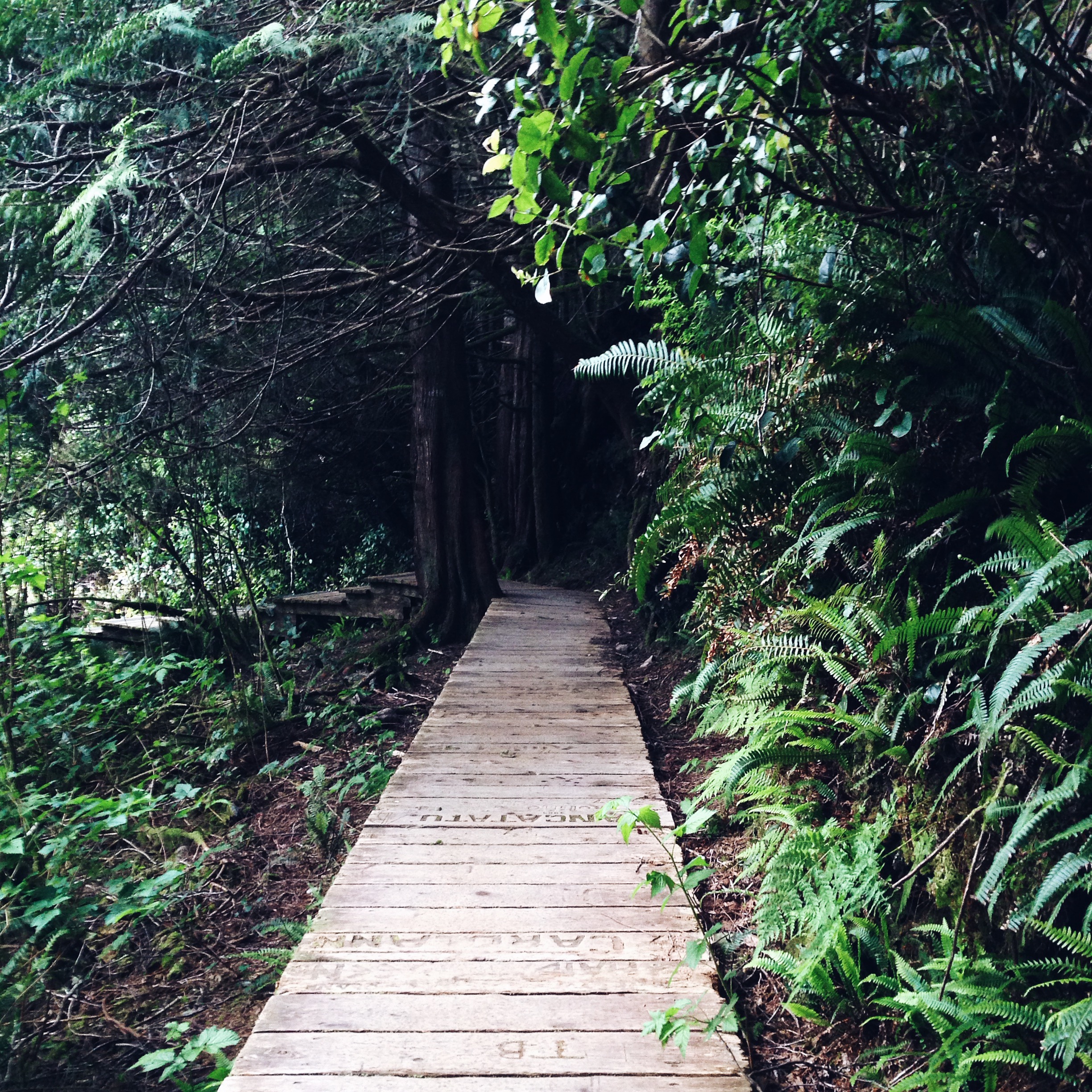 boardwalk to the hot springs. 4km round trip, a ridiculous number of stairs. individually carved boards to commemorate everything from vessel names, special events to a marriage proposal. (she said yes.)