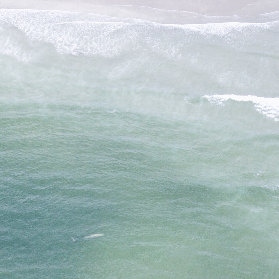 as seen from the air, all 40-50 feet of him.