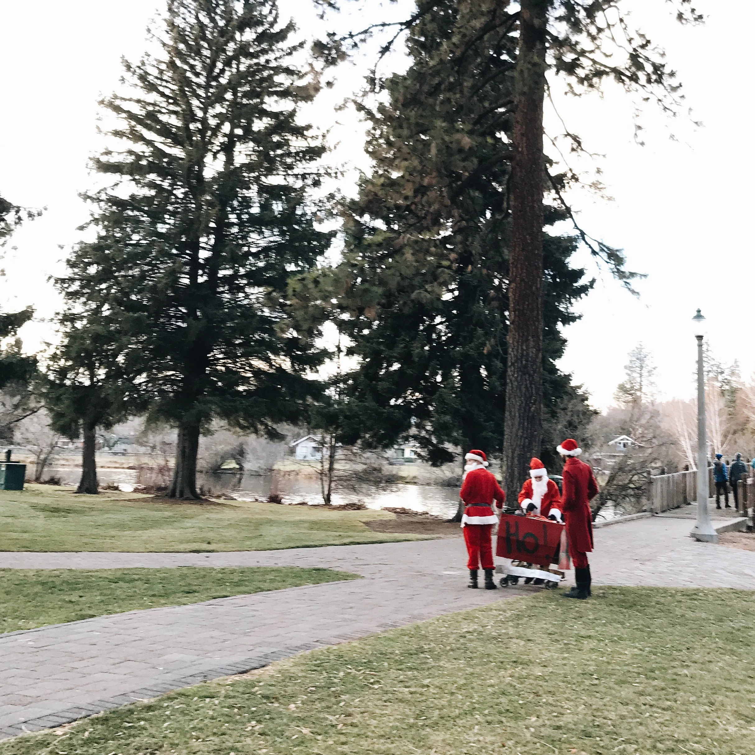 ...there were 3 more walking down the path to join them...chortling, and chuckling, and ho ho ho'ing...and all of a sudden all was quite merry and bright.