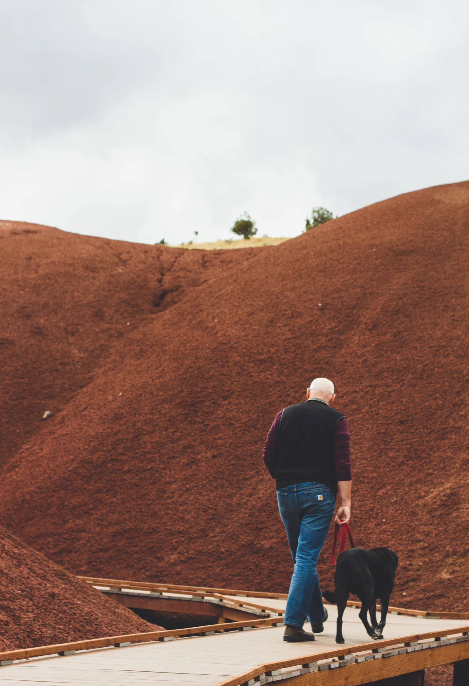 On the second Saturday, the Painted Hills.