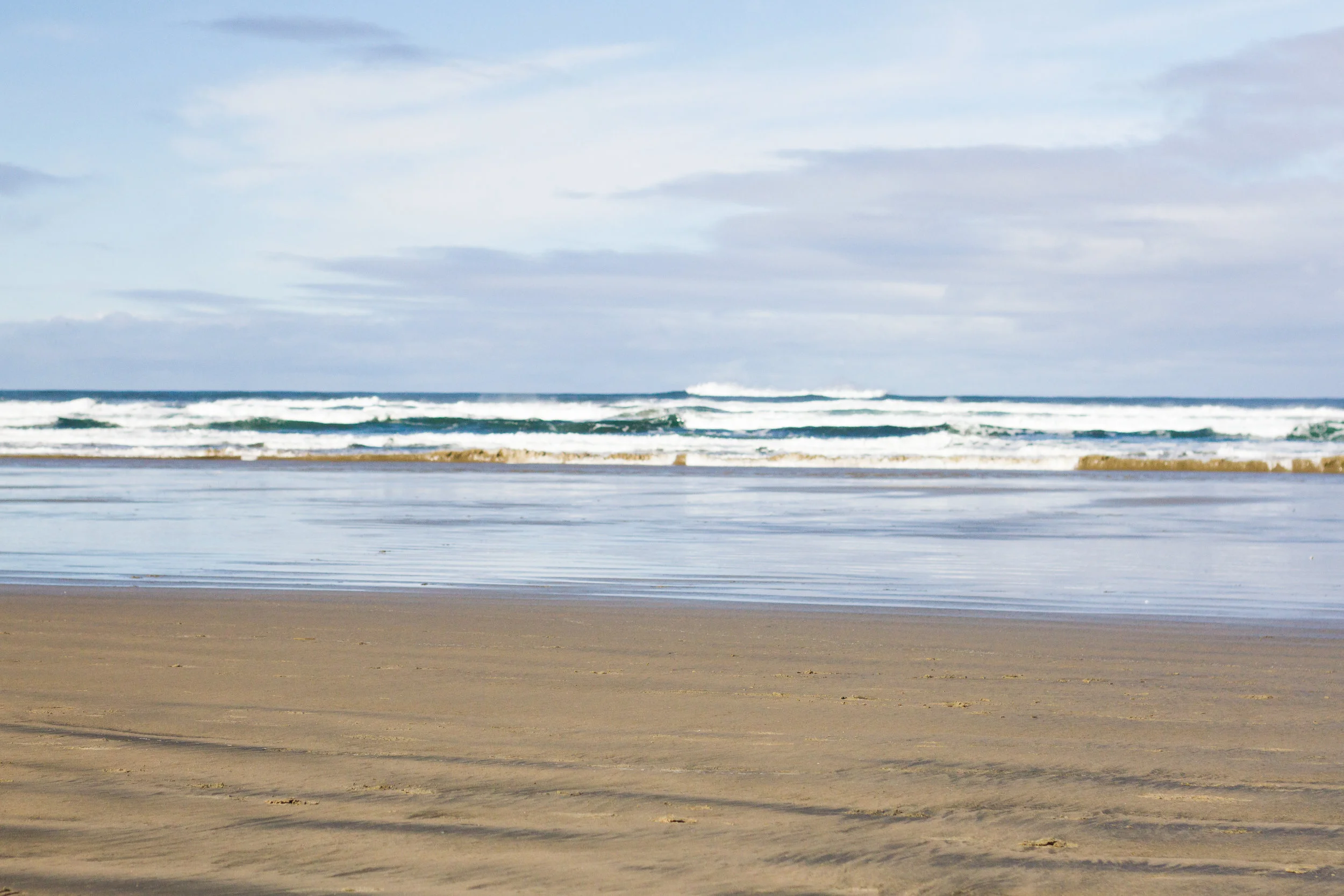 or.coast.feb-8.jpg