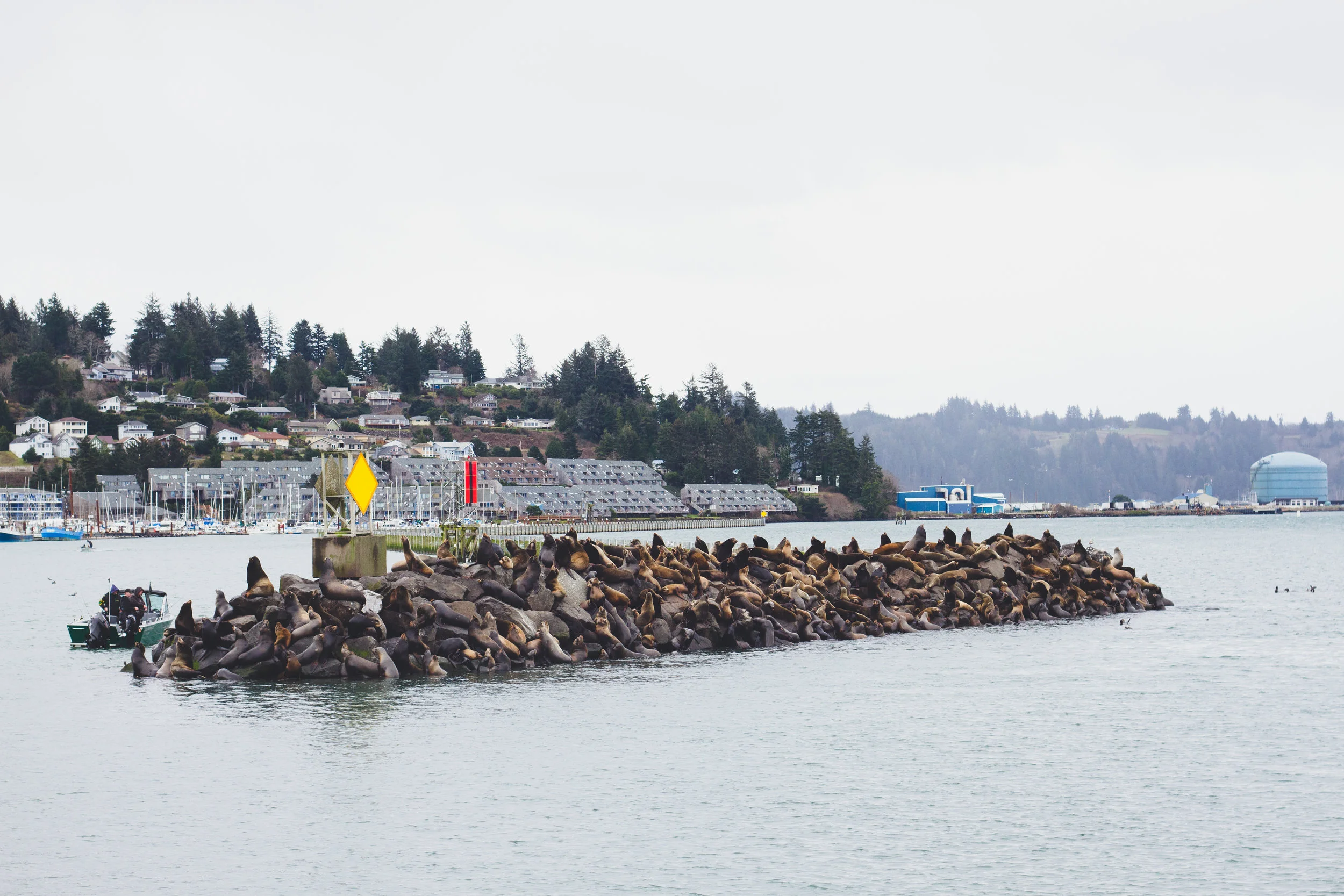 or.coast.feb-12.jpg