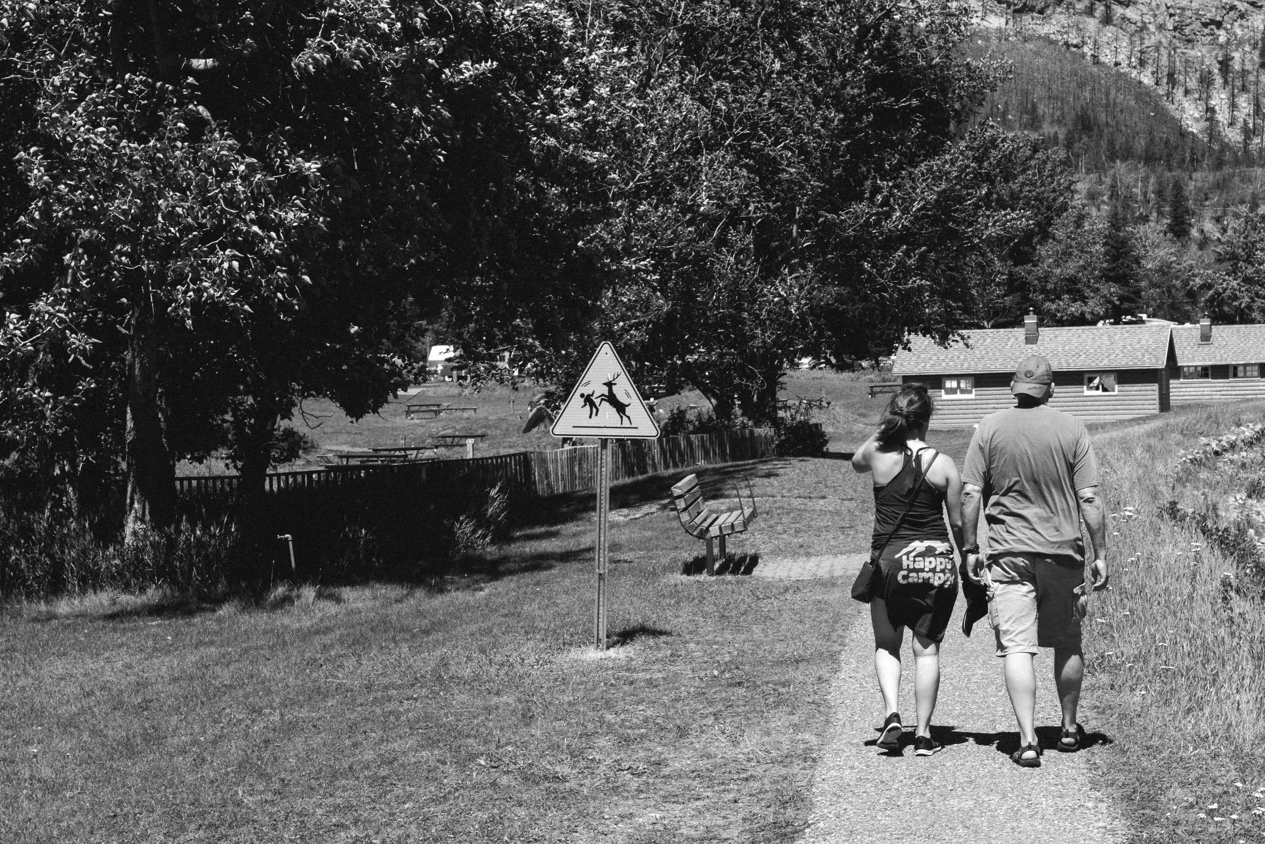 happy campers and local hazards.
